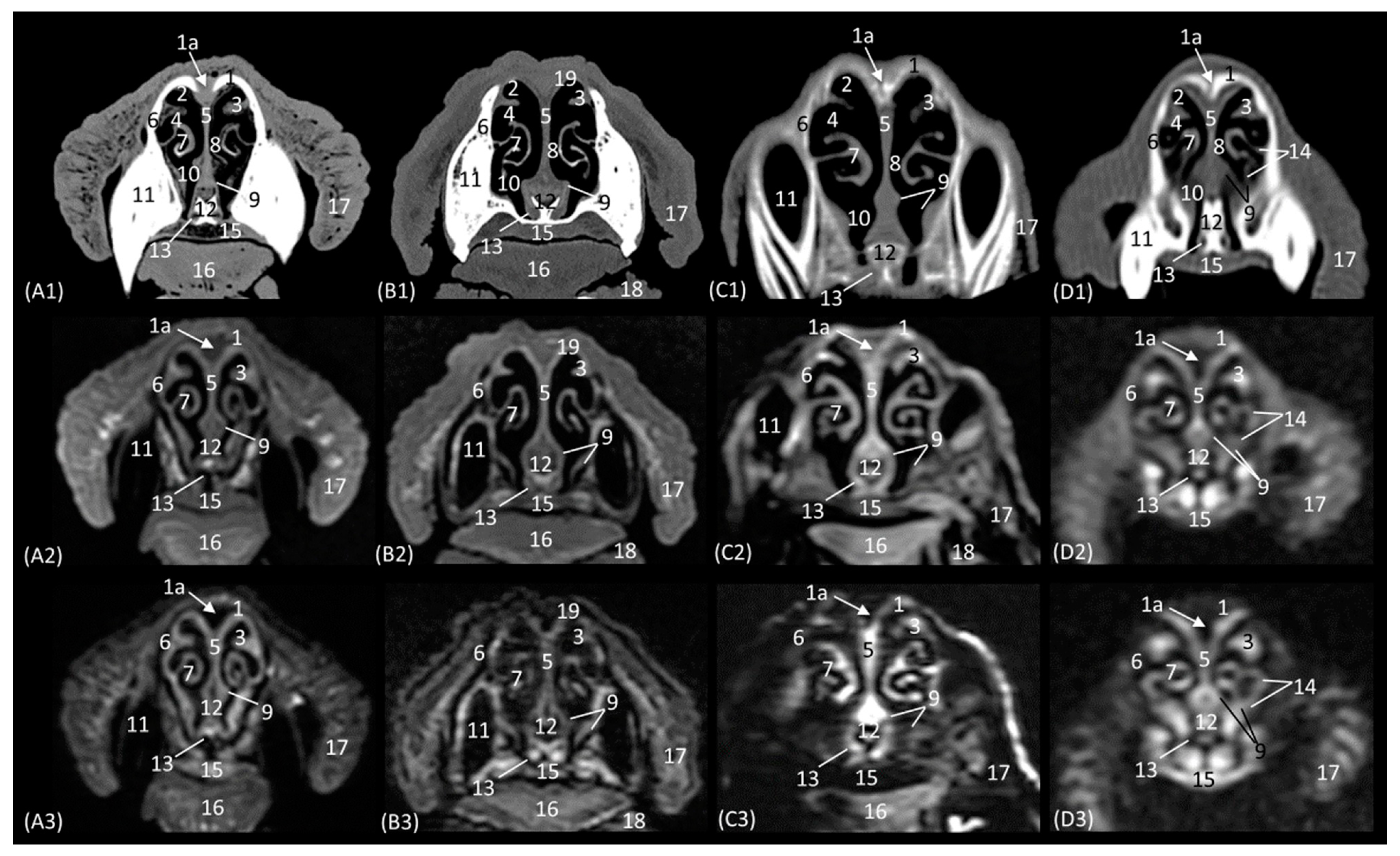 Animals 14 01172 g004