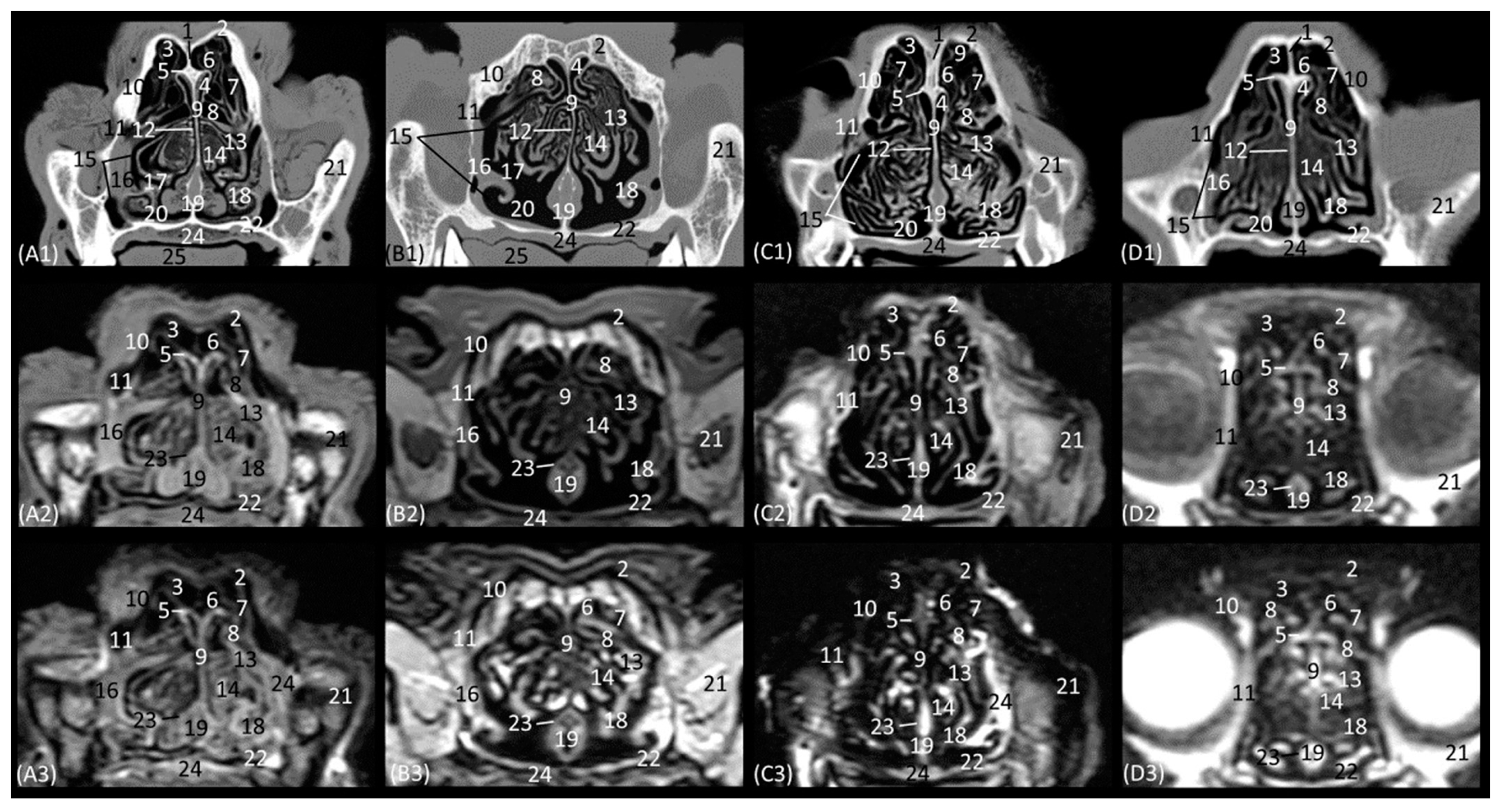 Animals 14 01172 g008