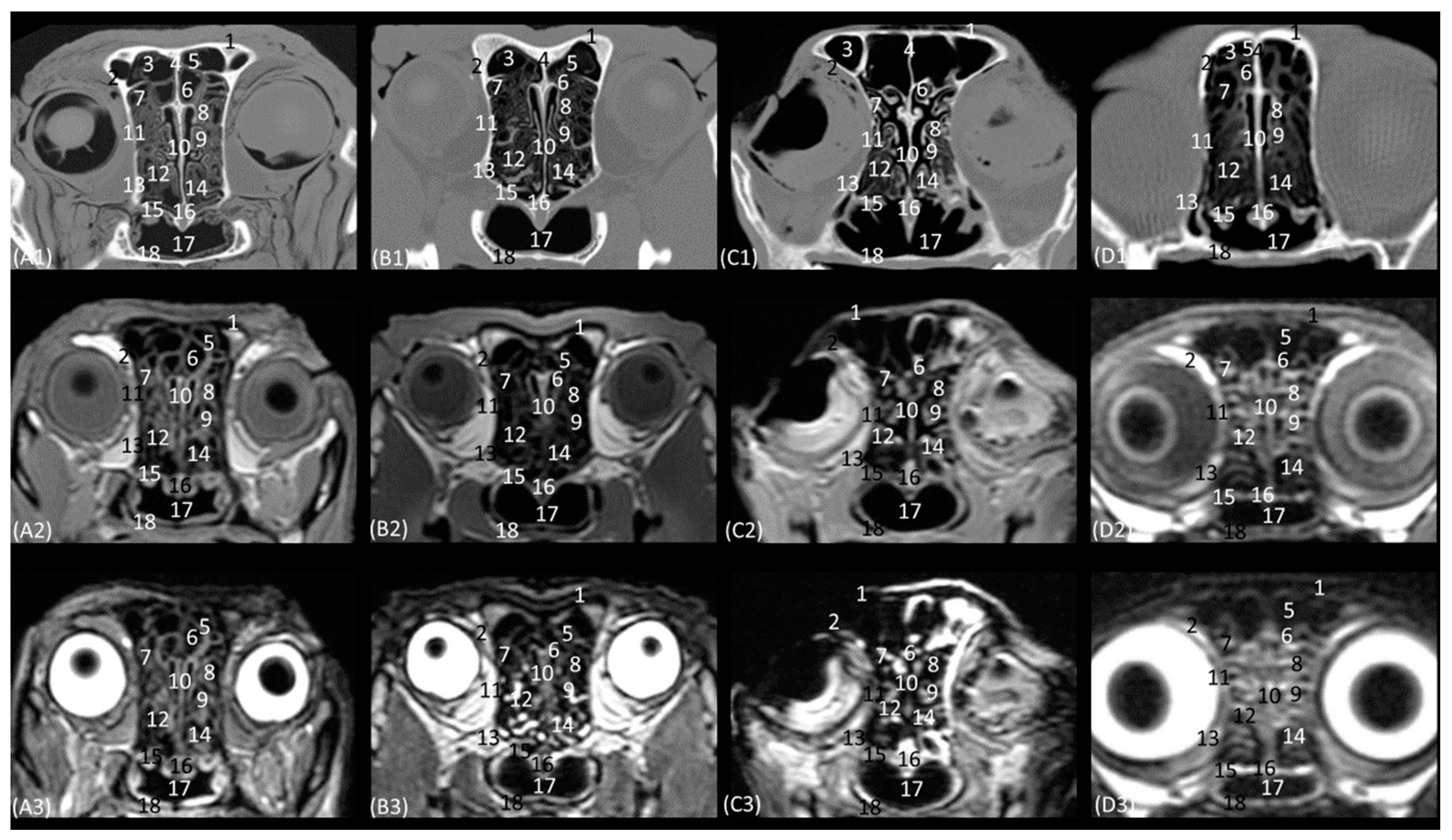 Animals 14 01172 g009