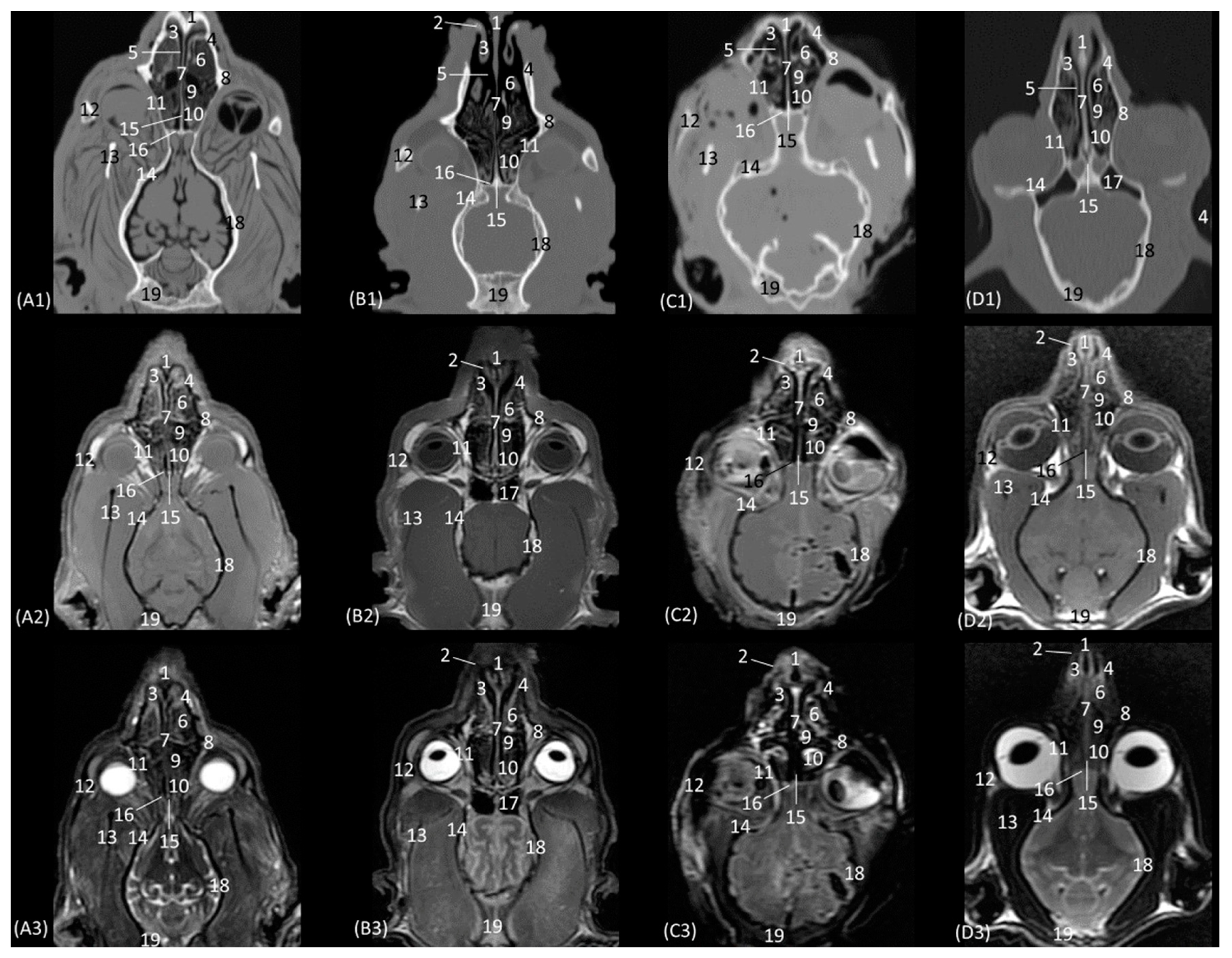 Animals 14 01172 g011