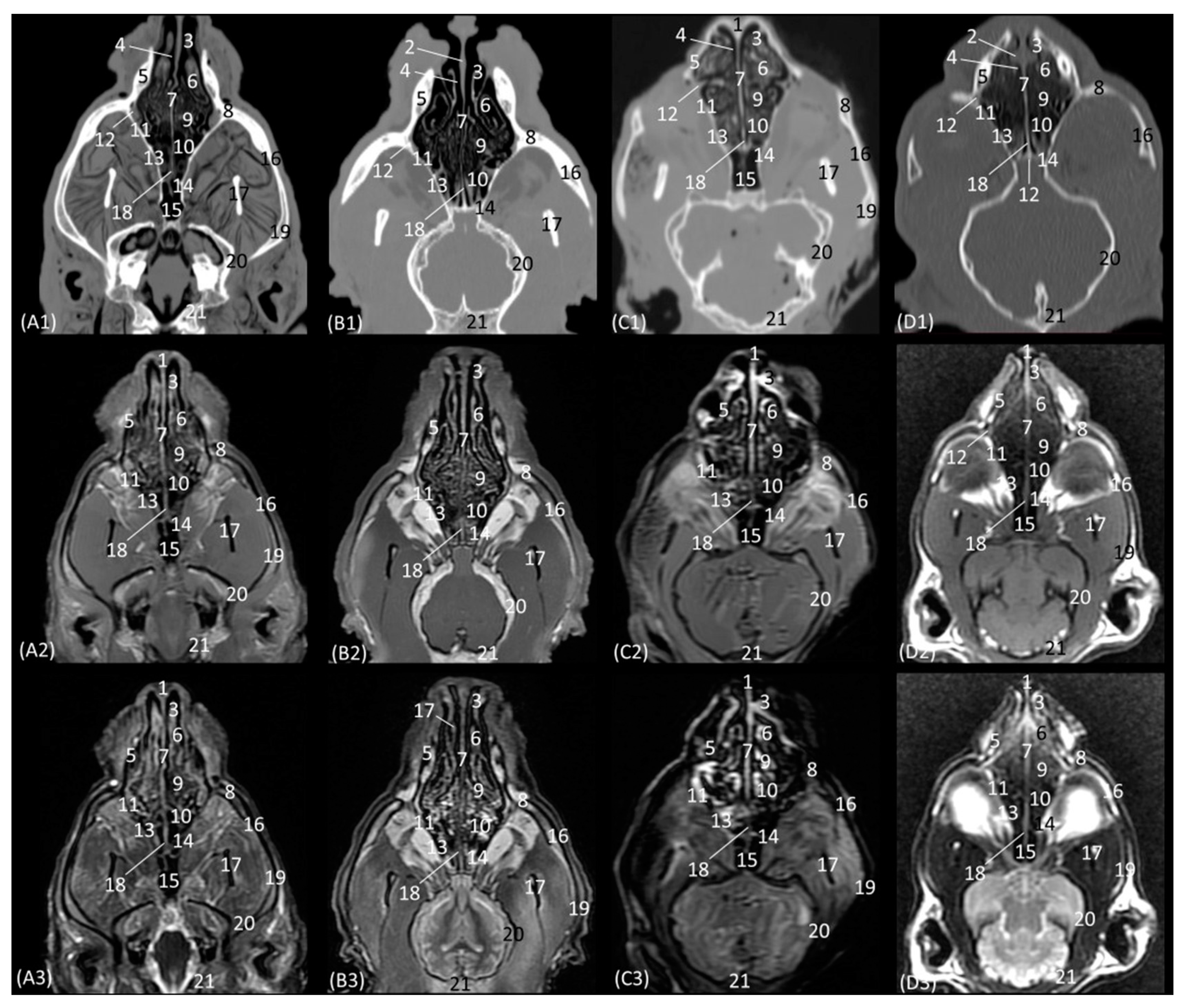 Animals 14 01172 g012