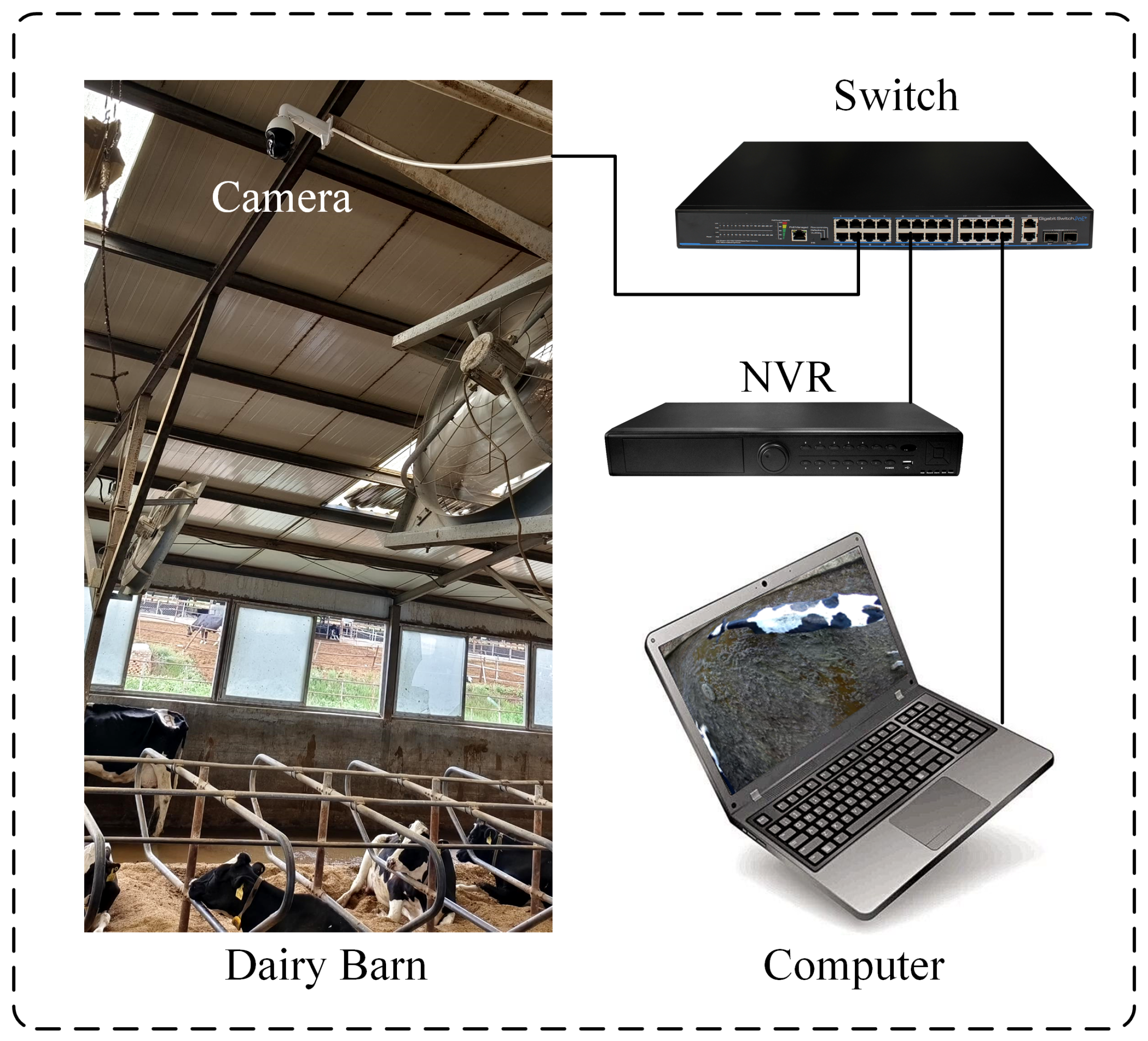 Animals 14 01175 g001