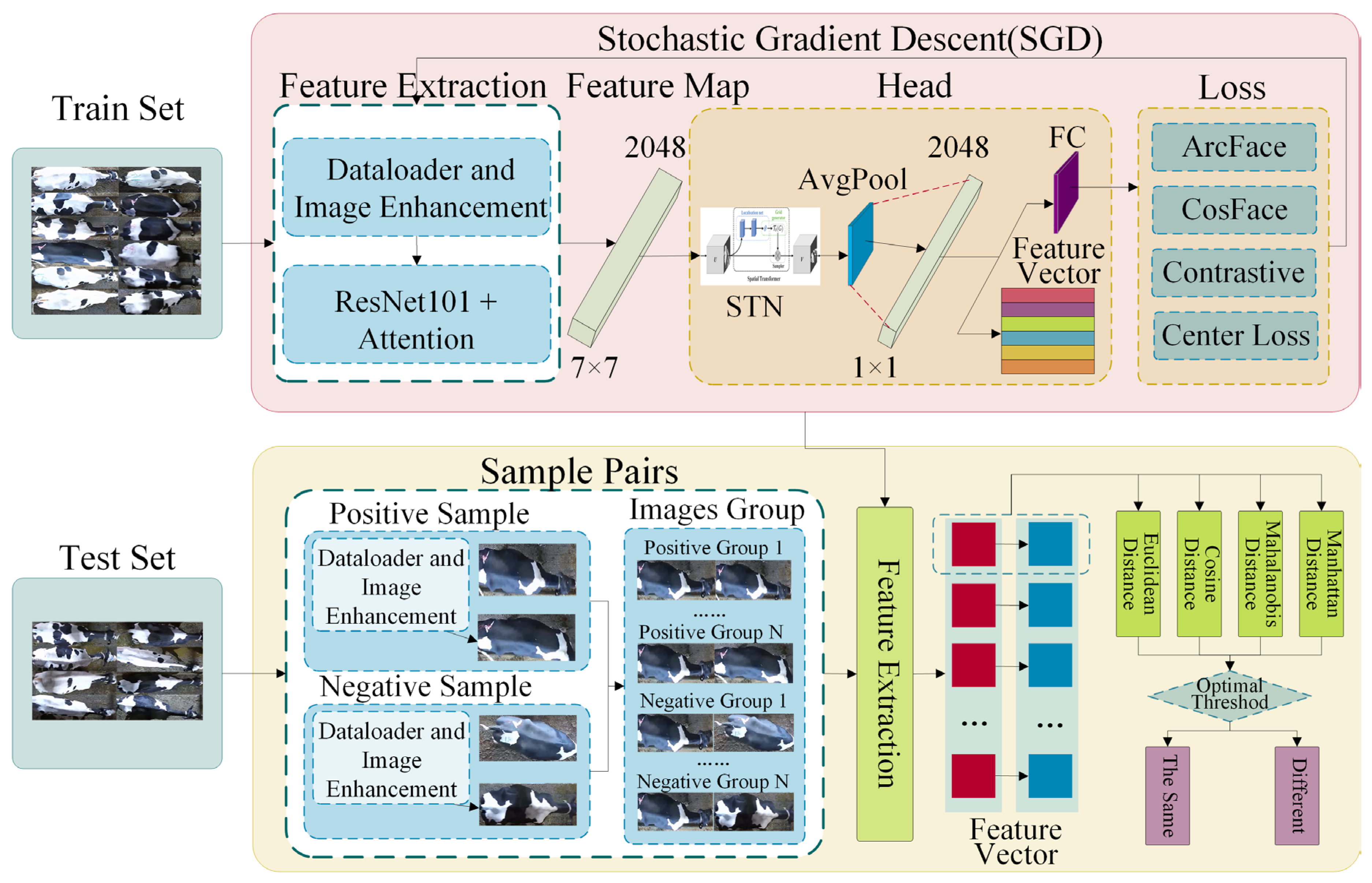 Animals 14 01175 g004