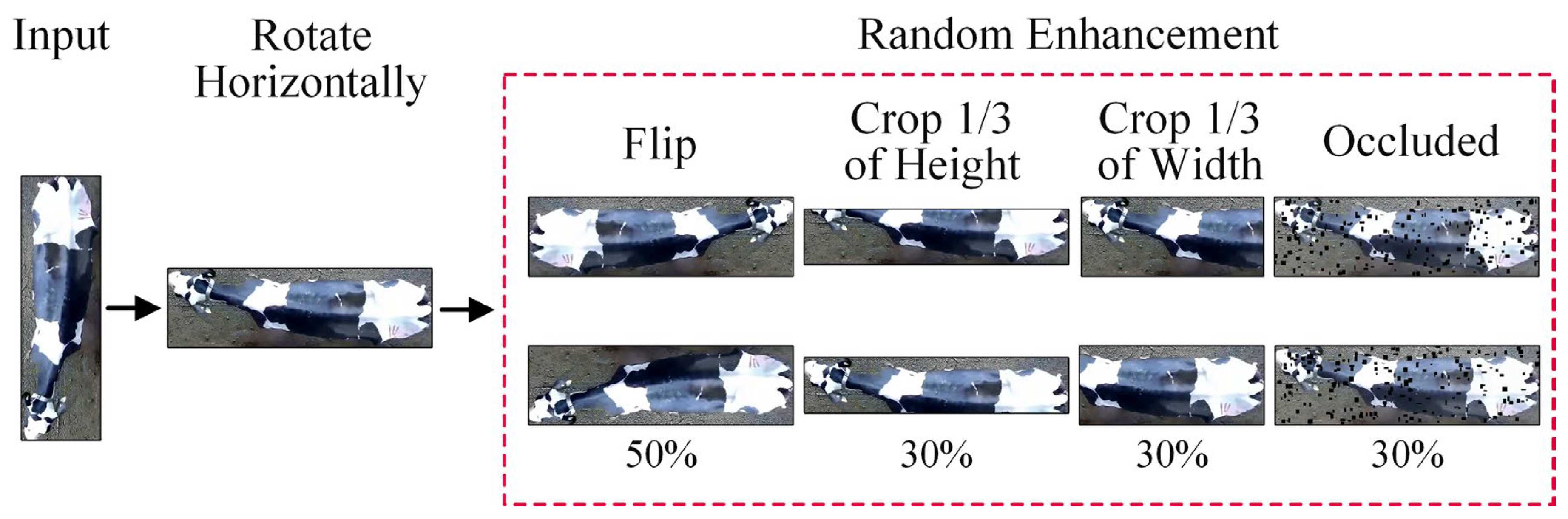 Animals 14 01175 g005