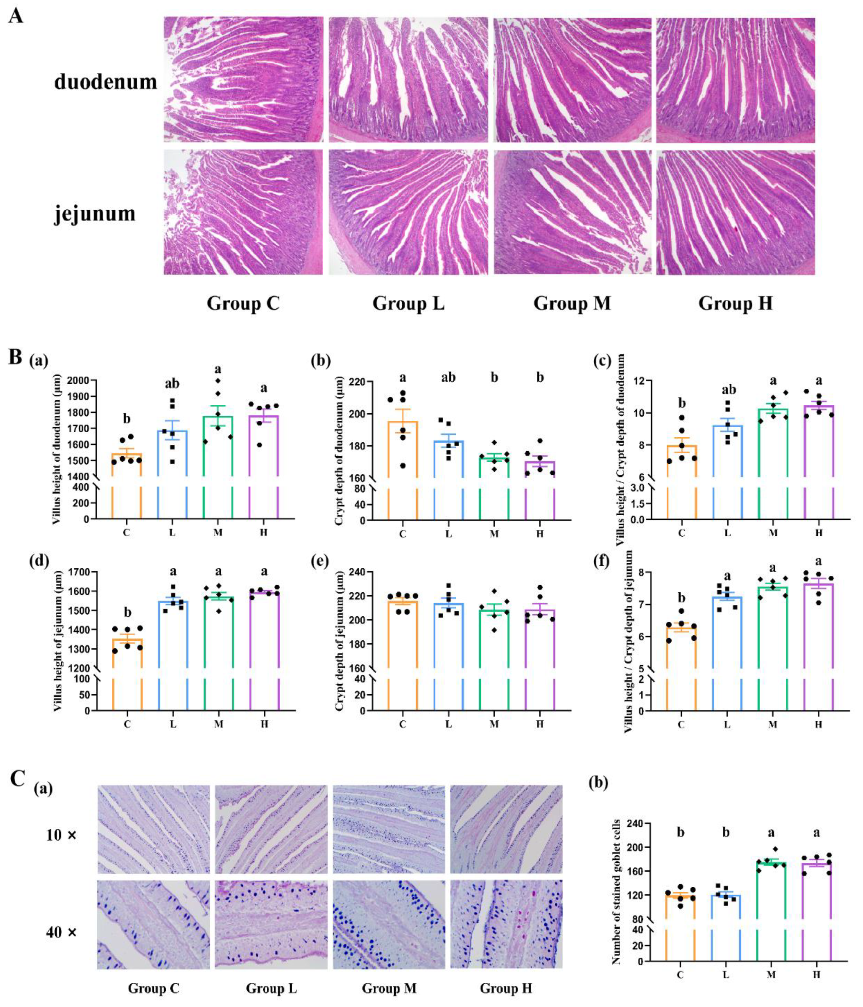 Animals 14 01182 g003