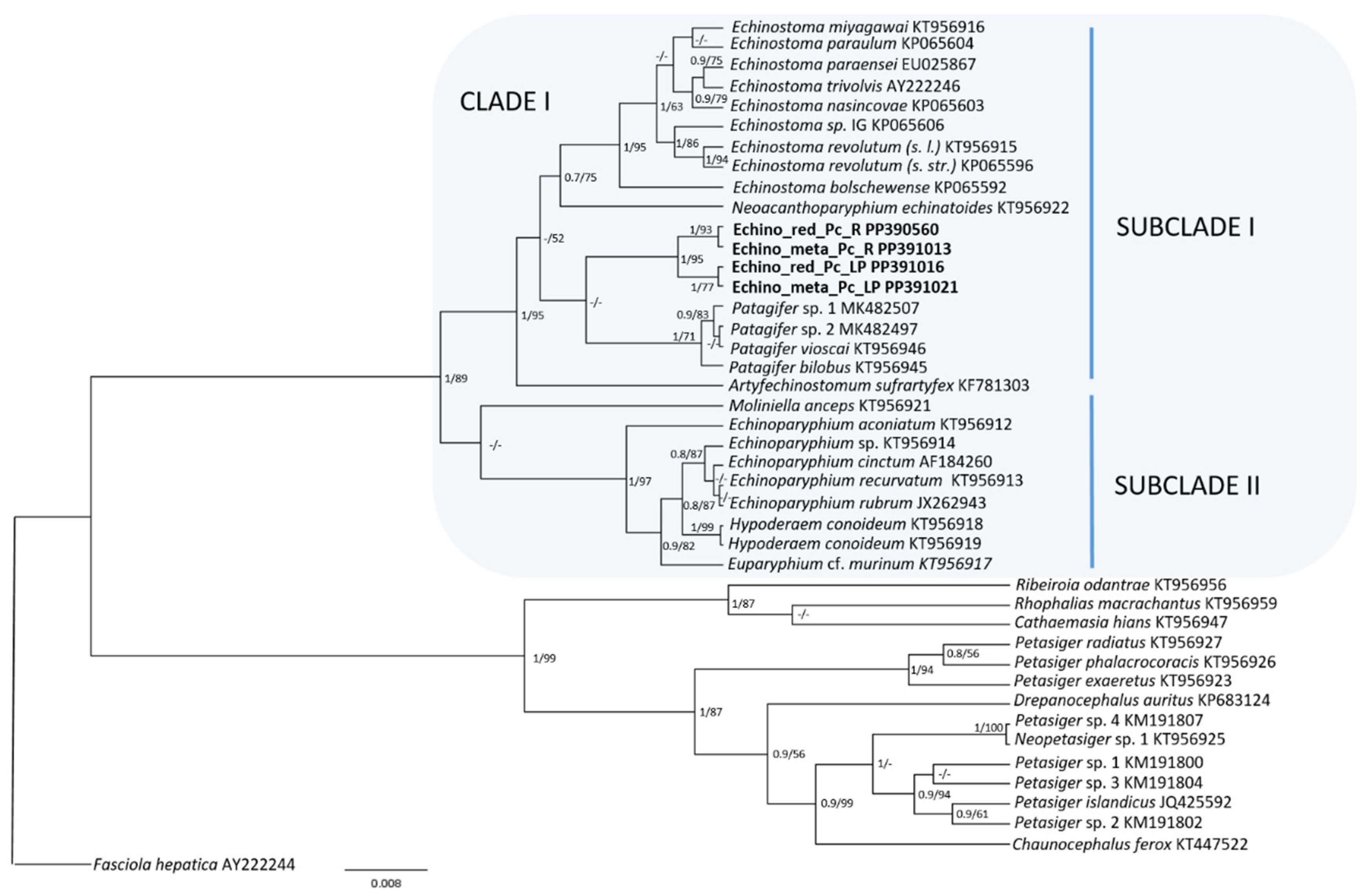 Animals 14 01191 g002 Animals 14 01191 g002
