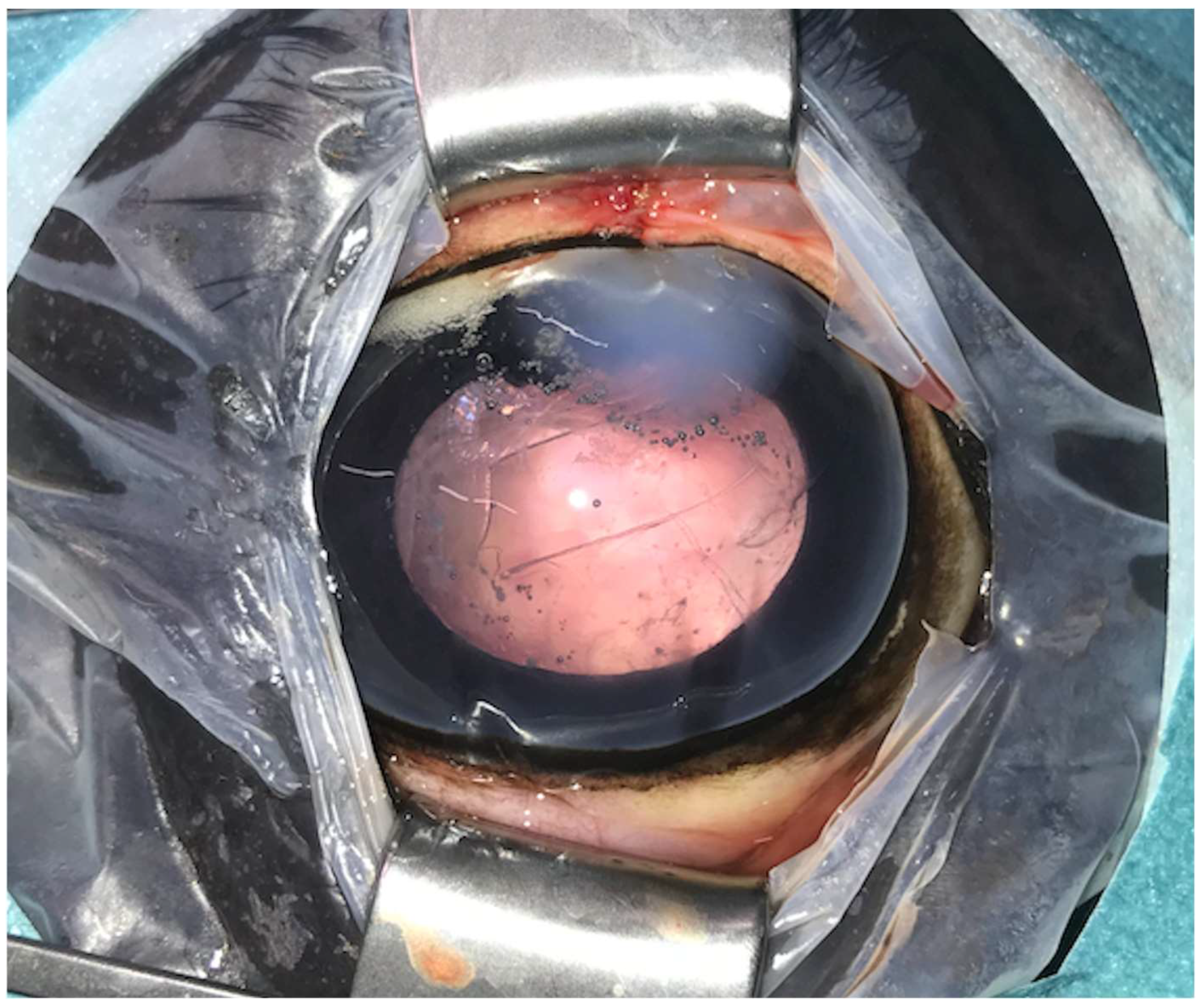 Animals 14 01192 g002