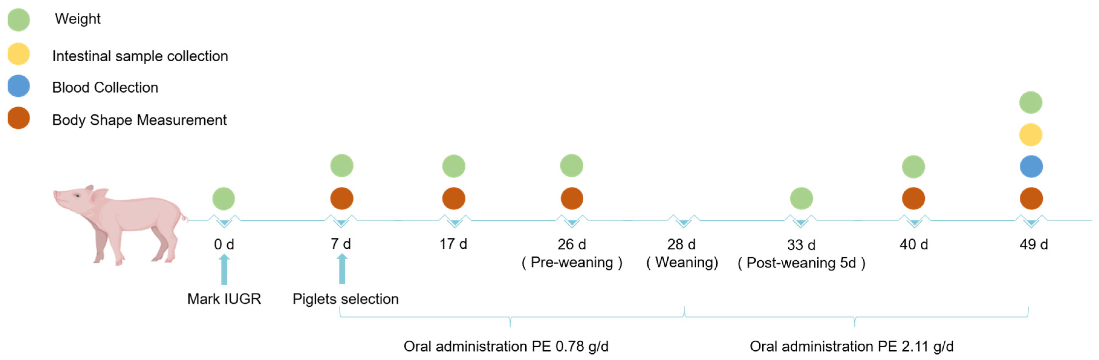 Animals 14 01193 g001