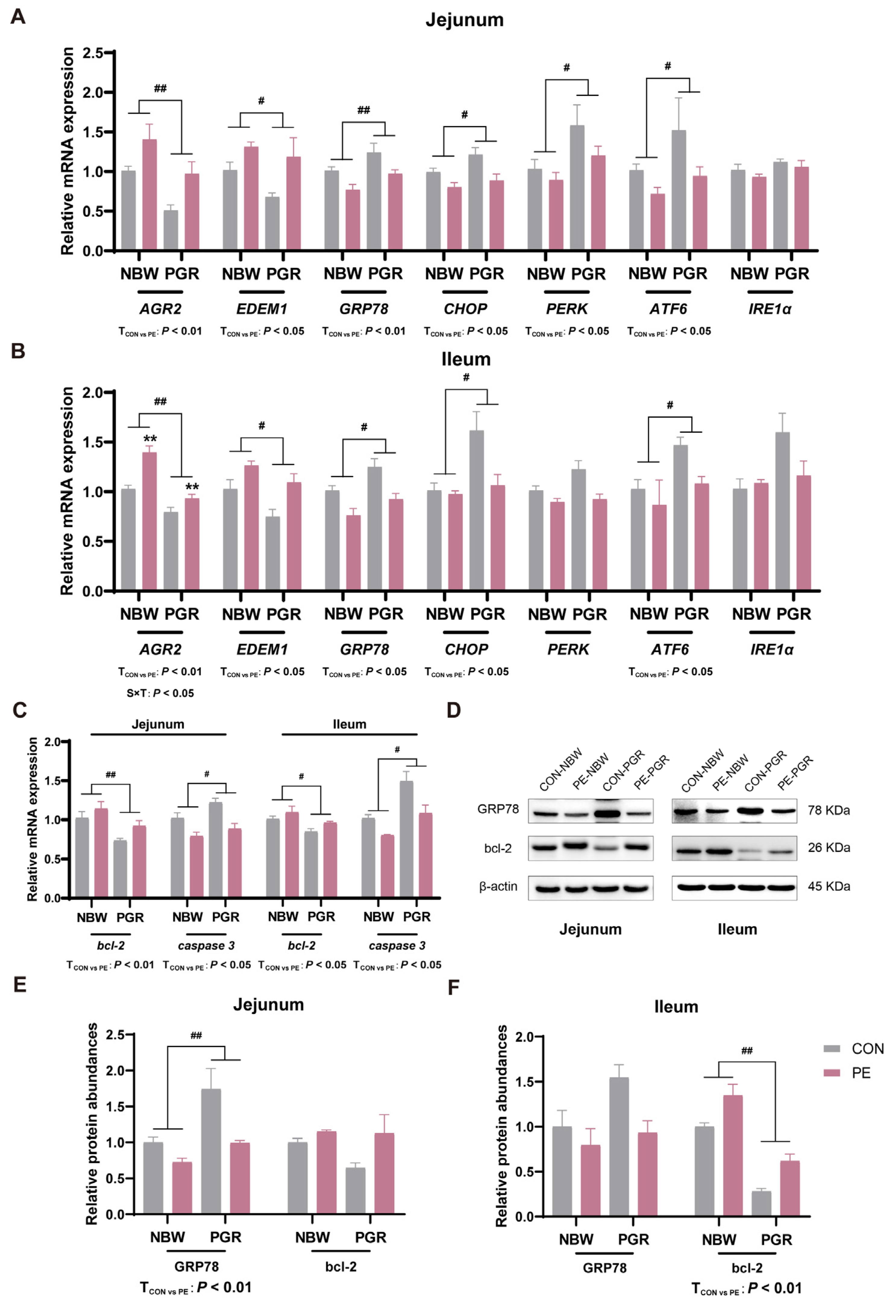 Animals 14 01193 g006
