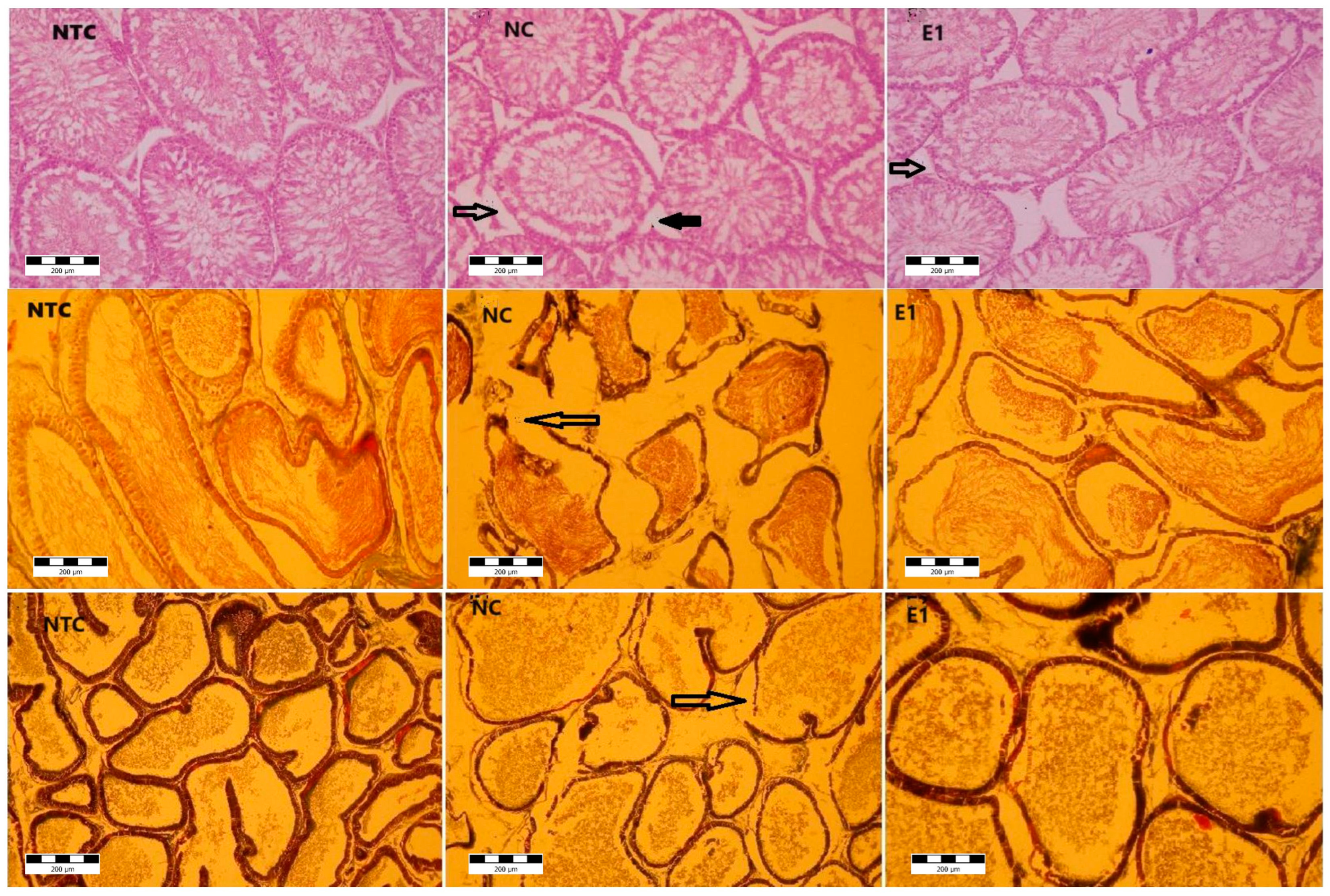 Animals 14 01196 g002 Animals 14 01196 g002