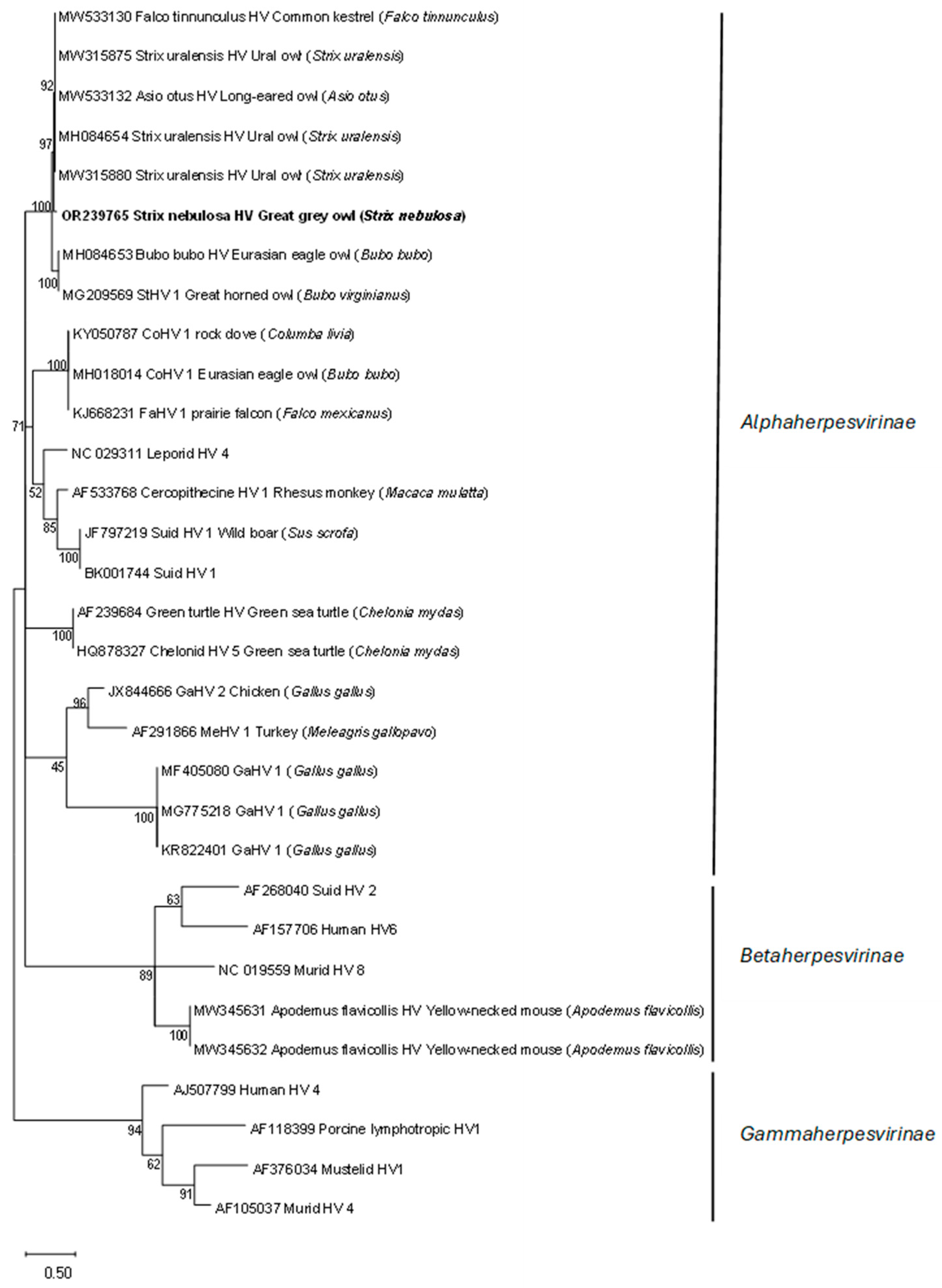 Animals 14 01200 g001