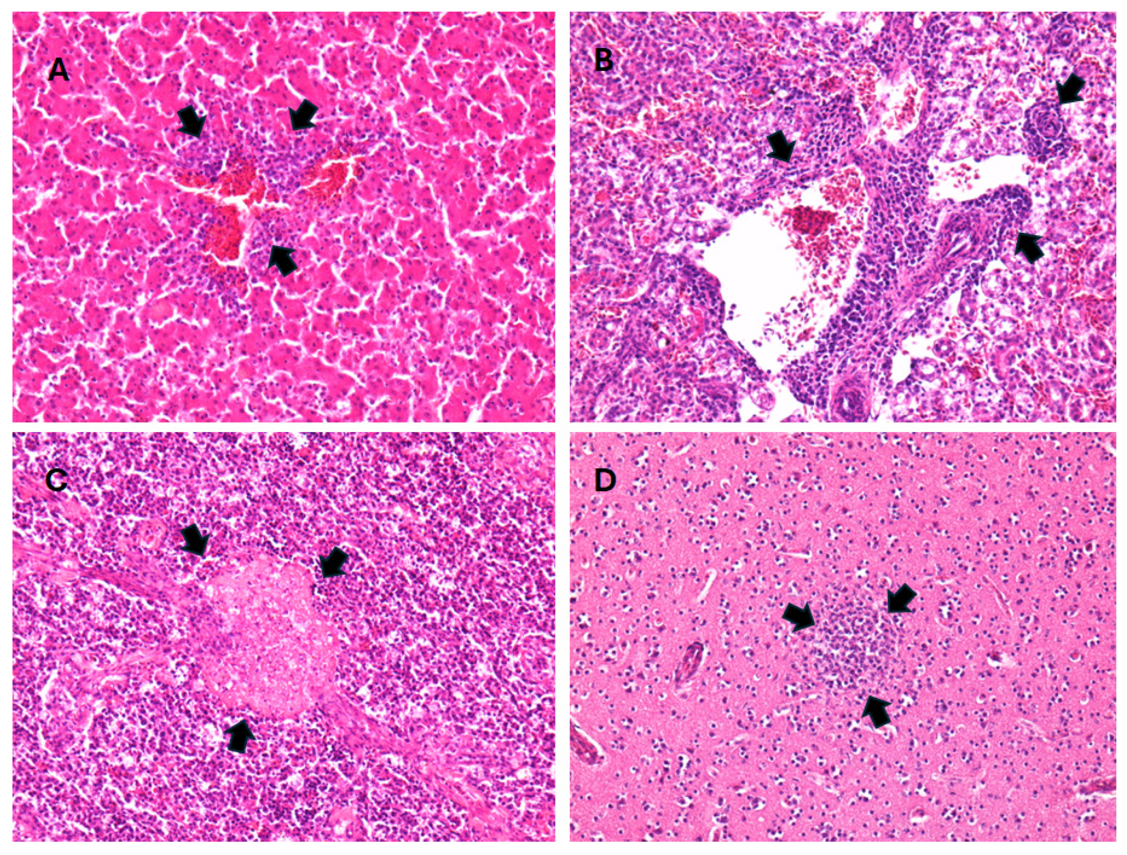 Animals 14 01200 g003