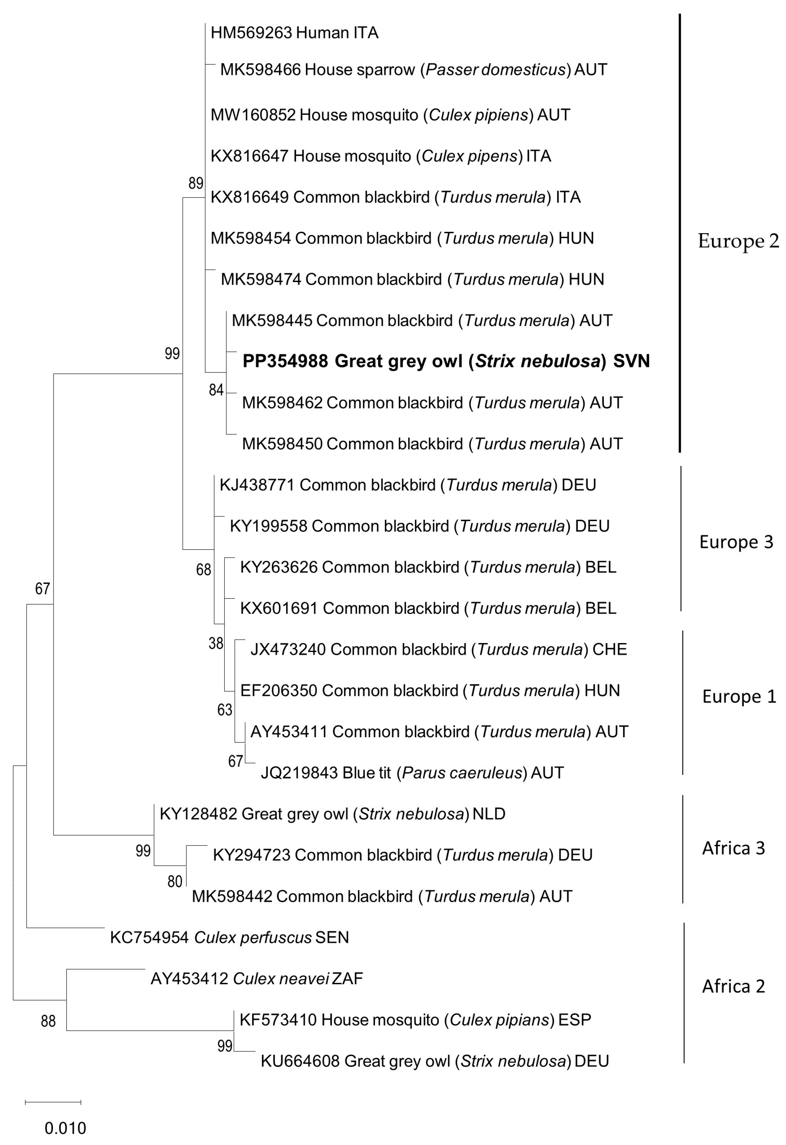 Animals 14 01200 g004