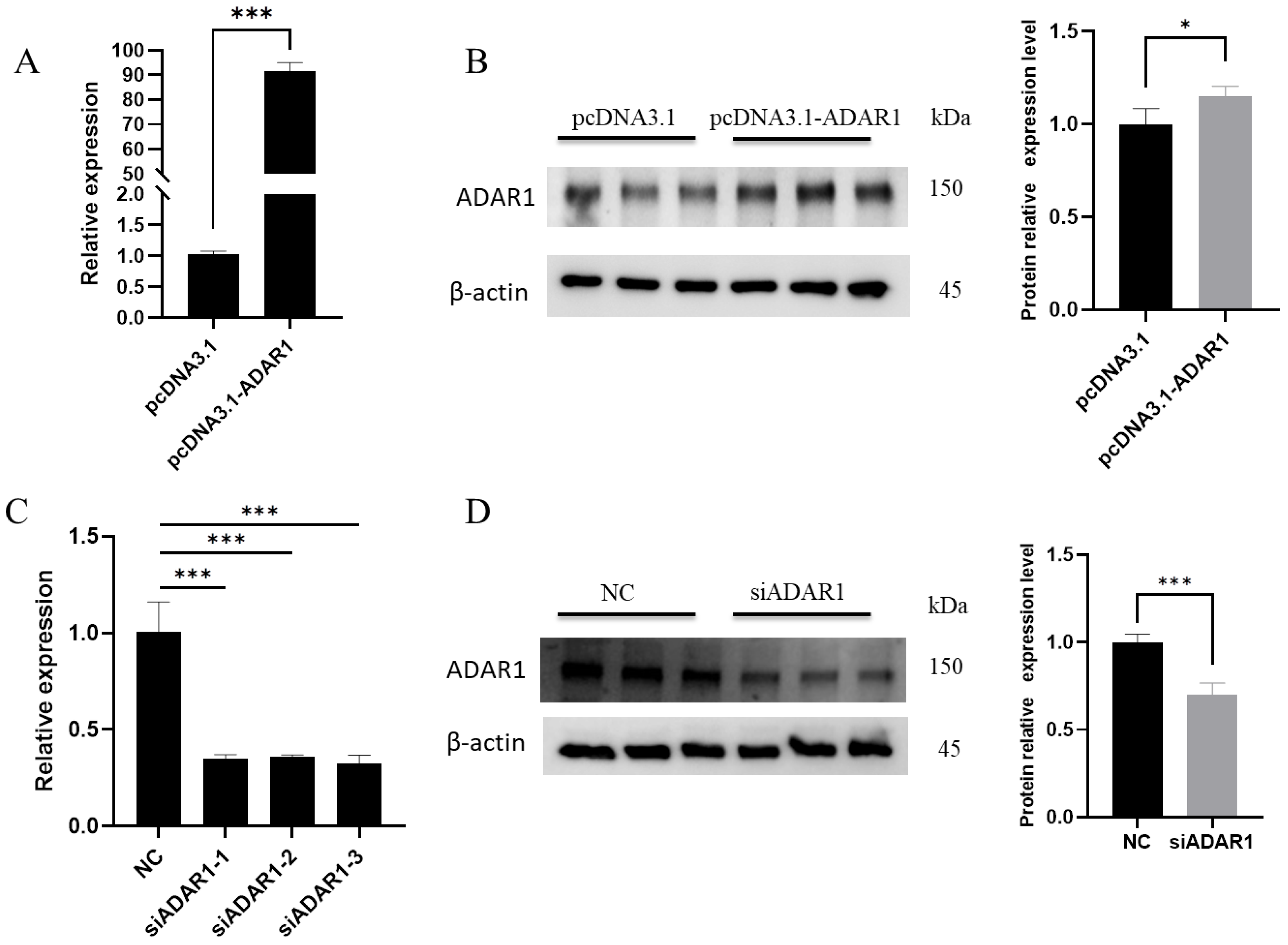 Animals 14 01201 g001