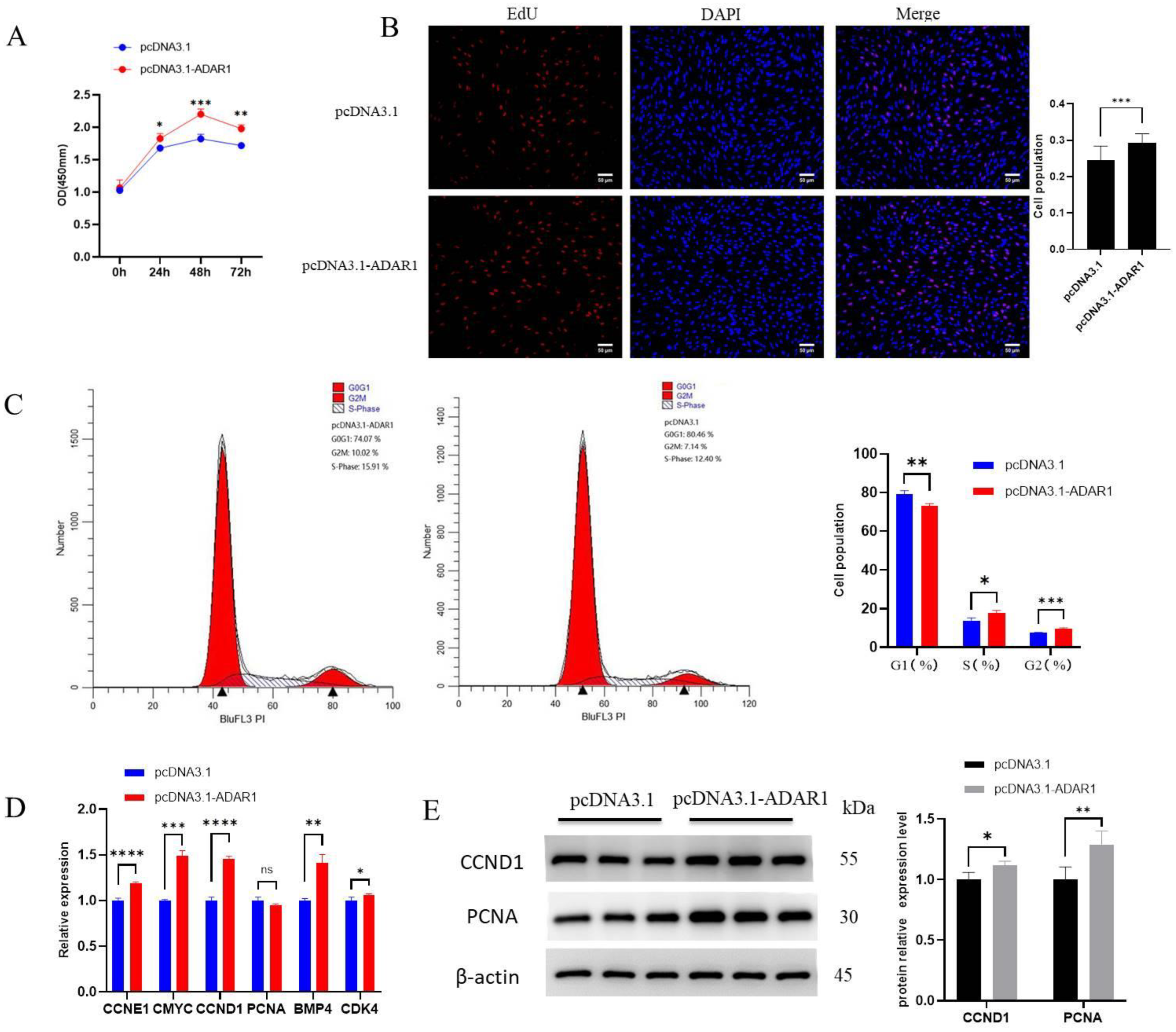 Animals 14 01201 g002