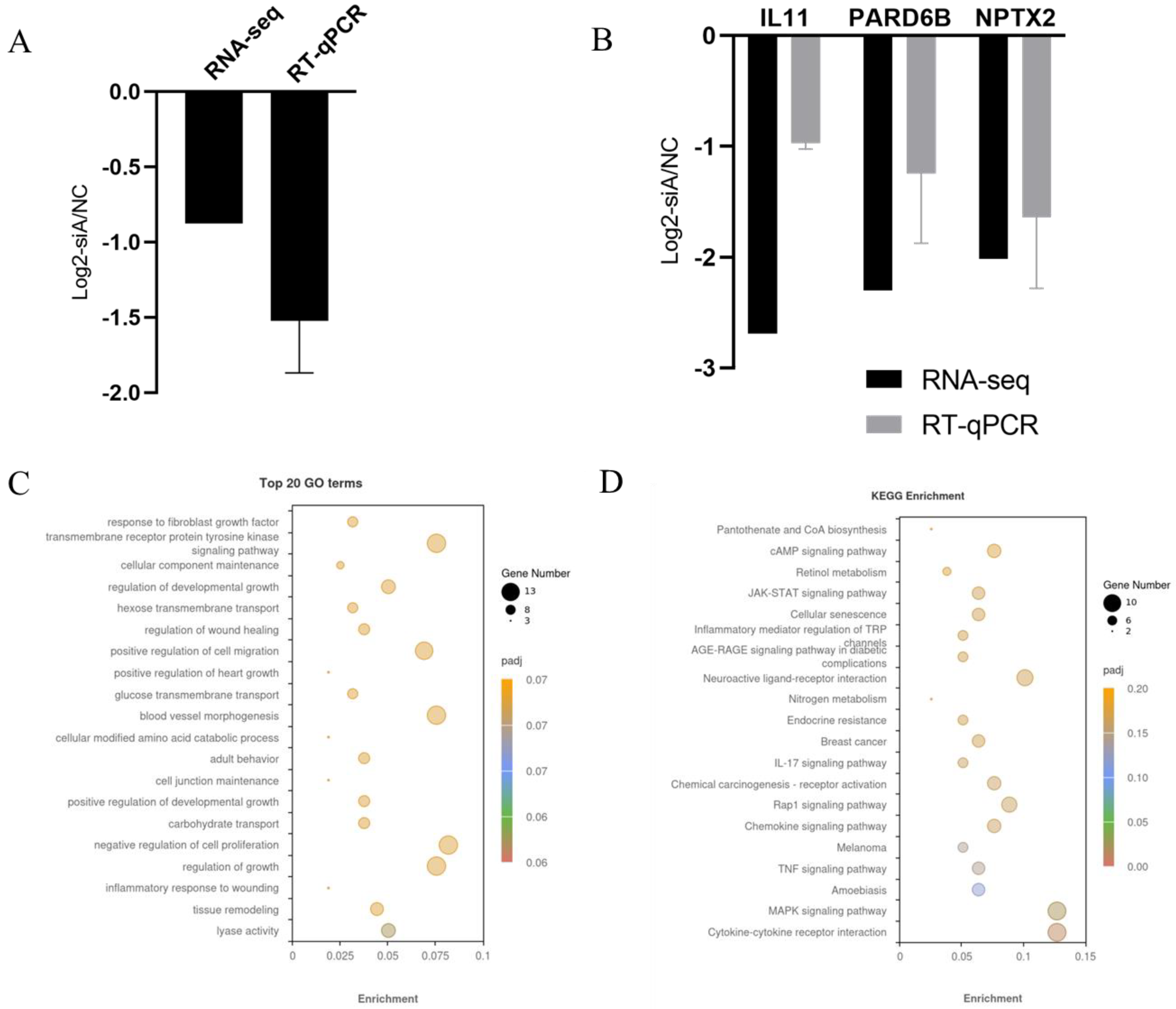 Animals 14 01201 g008