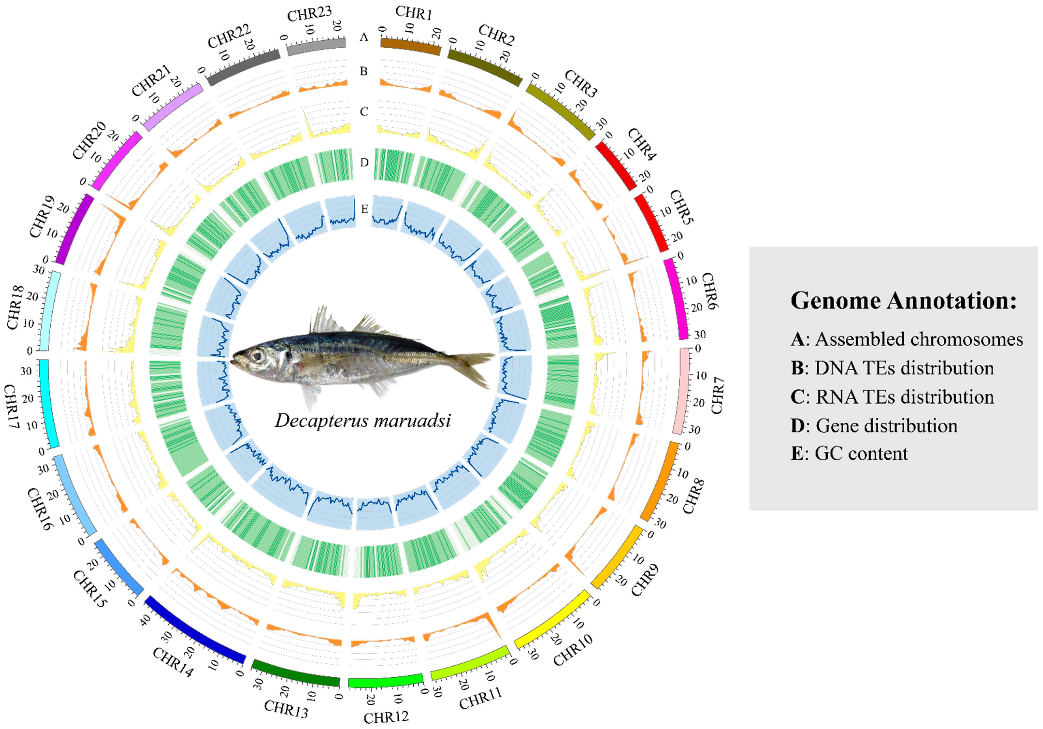 Animals 14 01202 g003