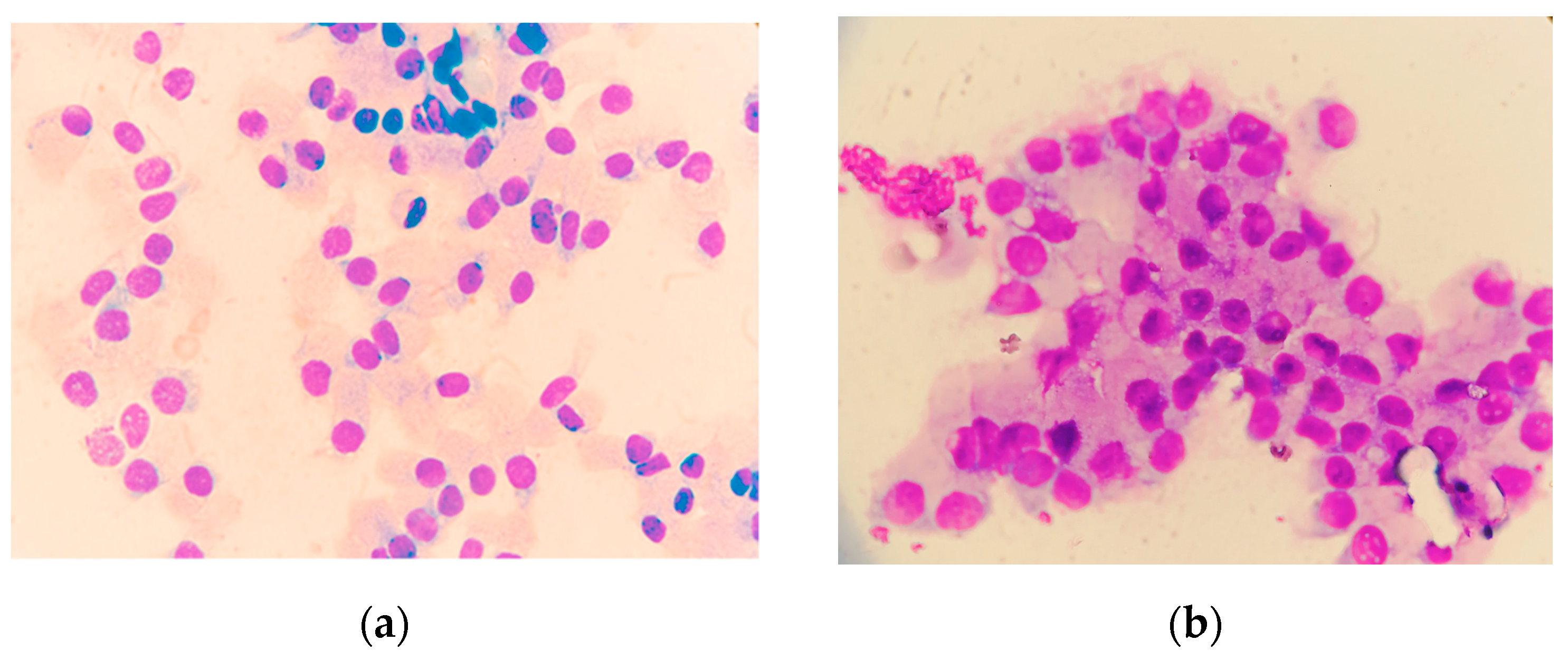 Animals 14 01204 g002