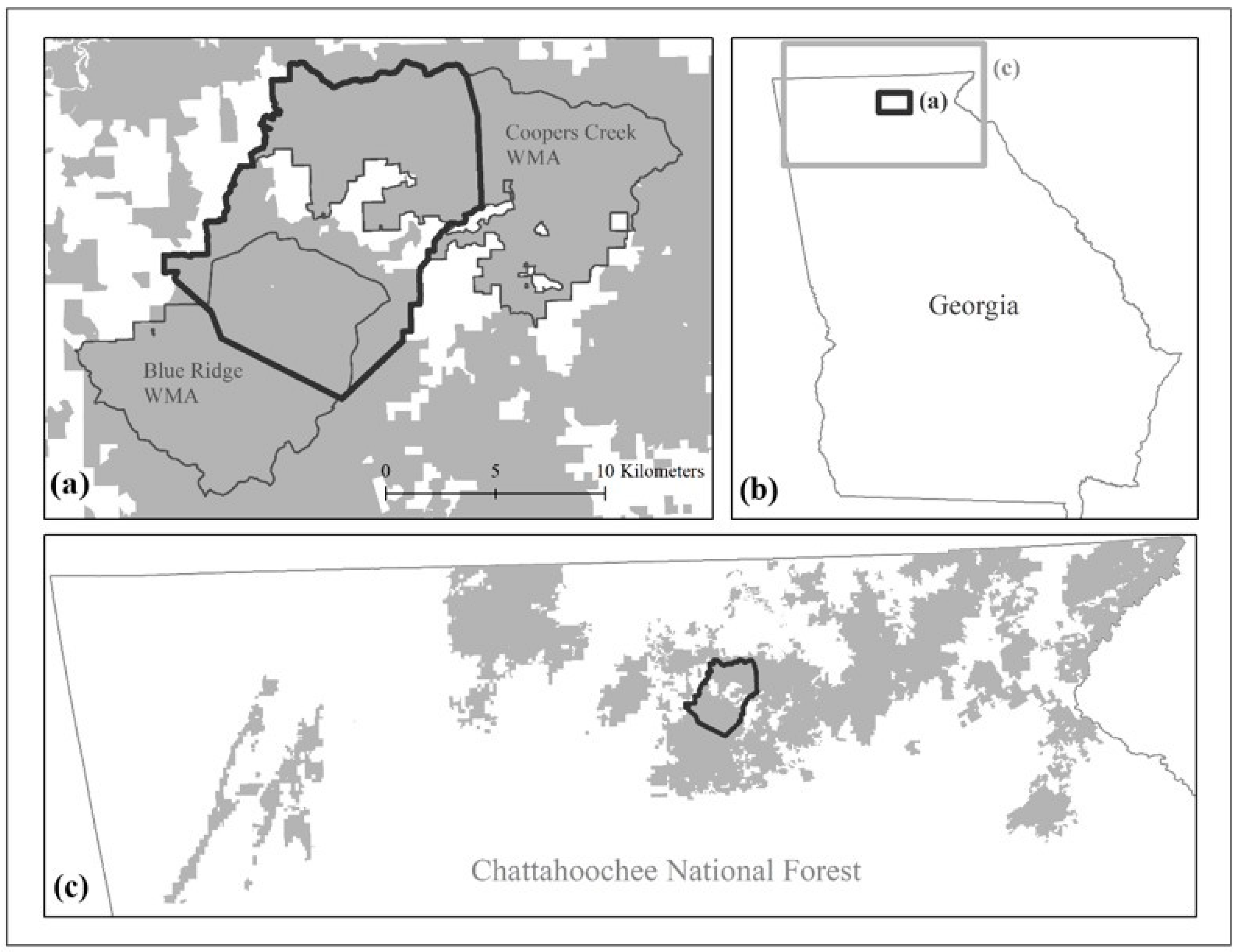 Animals 14 01212 g001