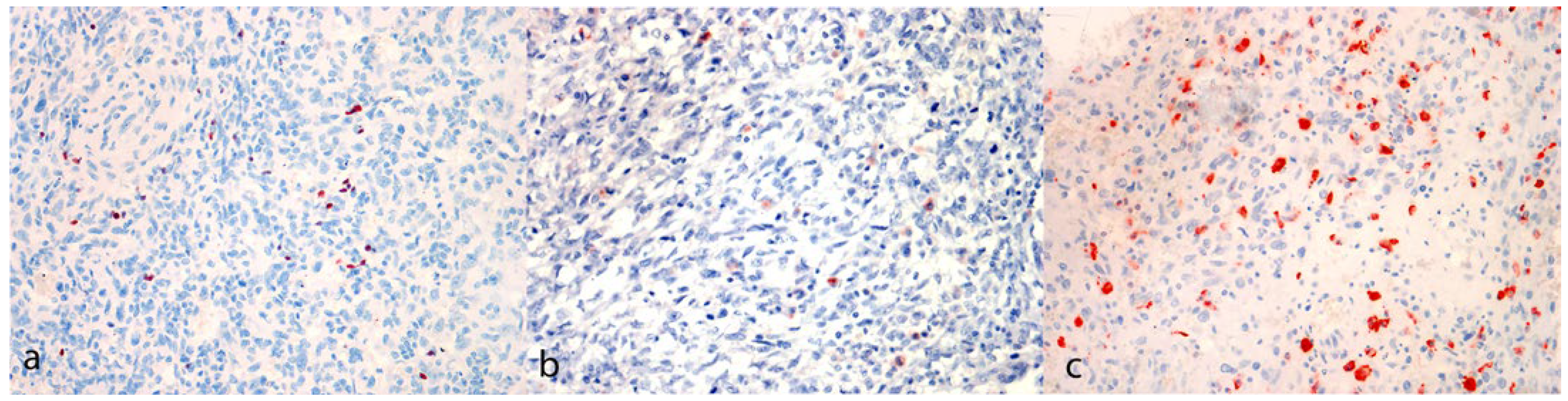 Animals 14 01224 g003