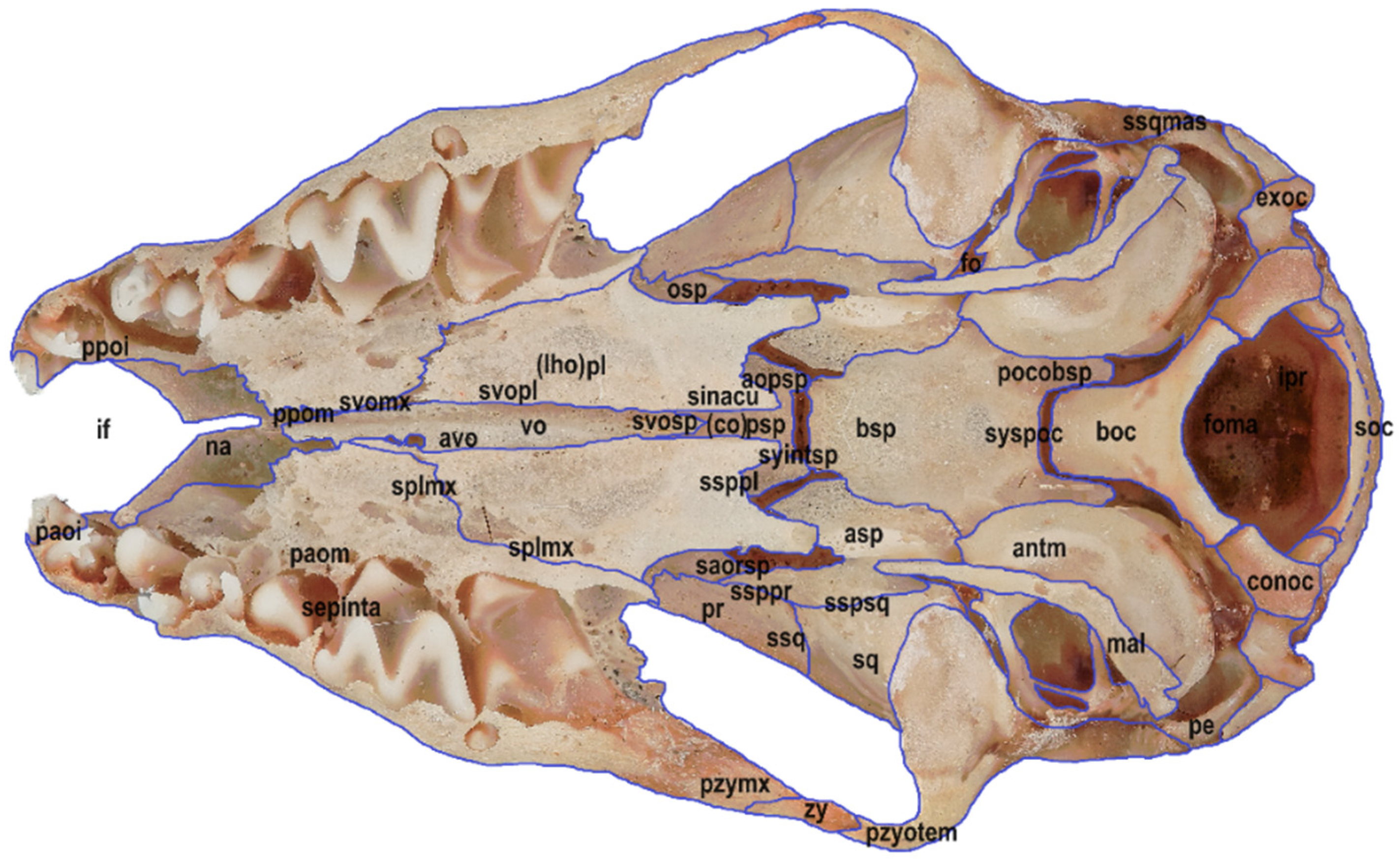 Animals 14 01225 g002