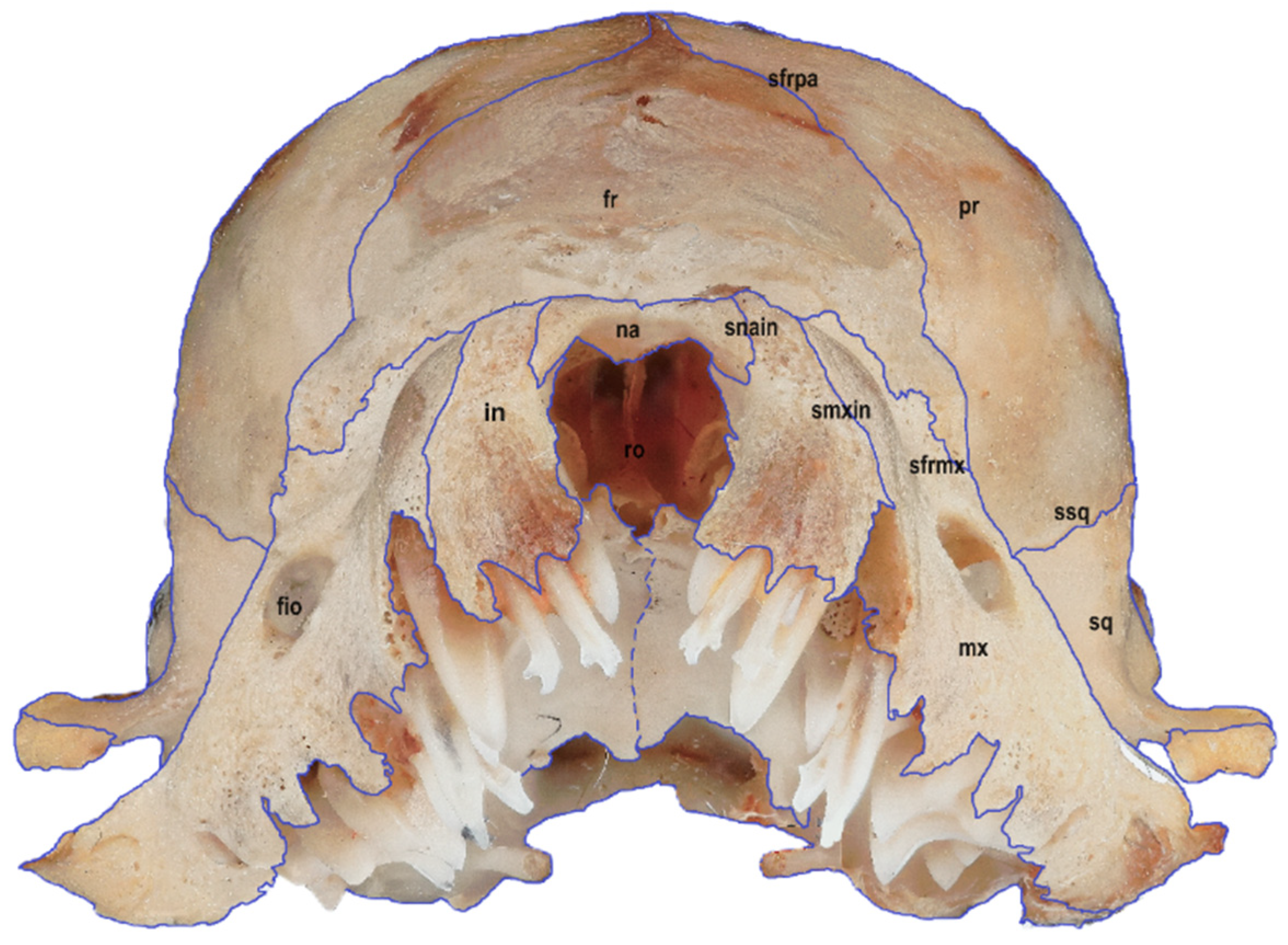 Animals 14 01225 g004