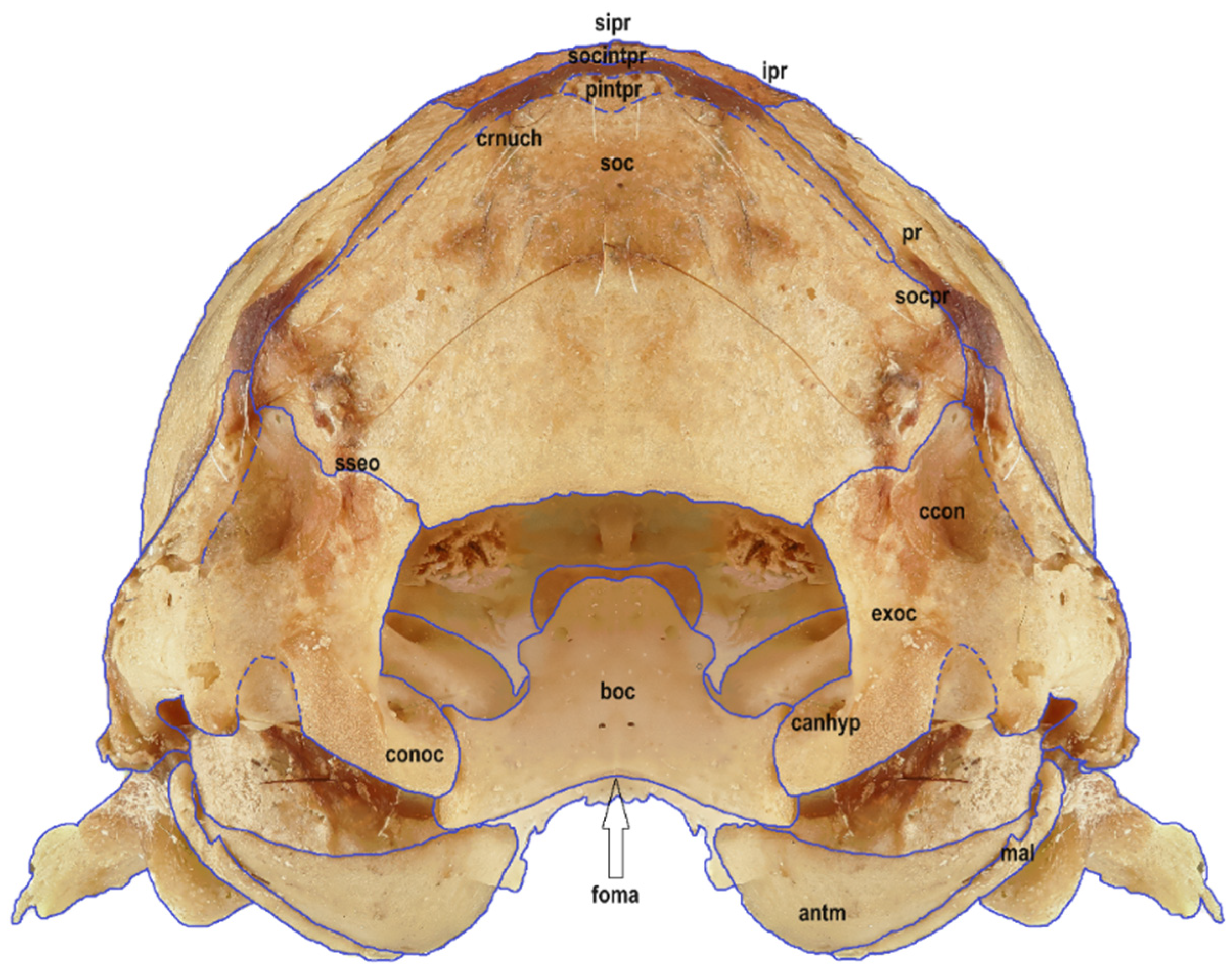 Animals 14 01225 g005