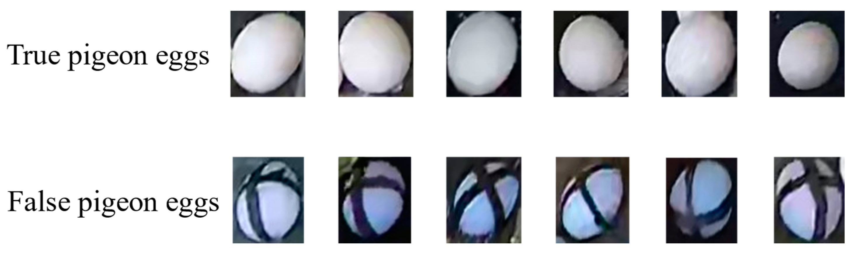 Animals 14 01226 g002