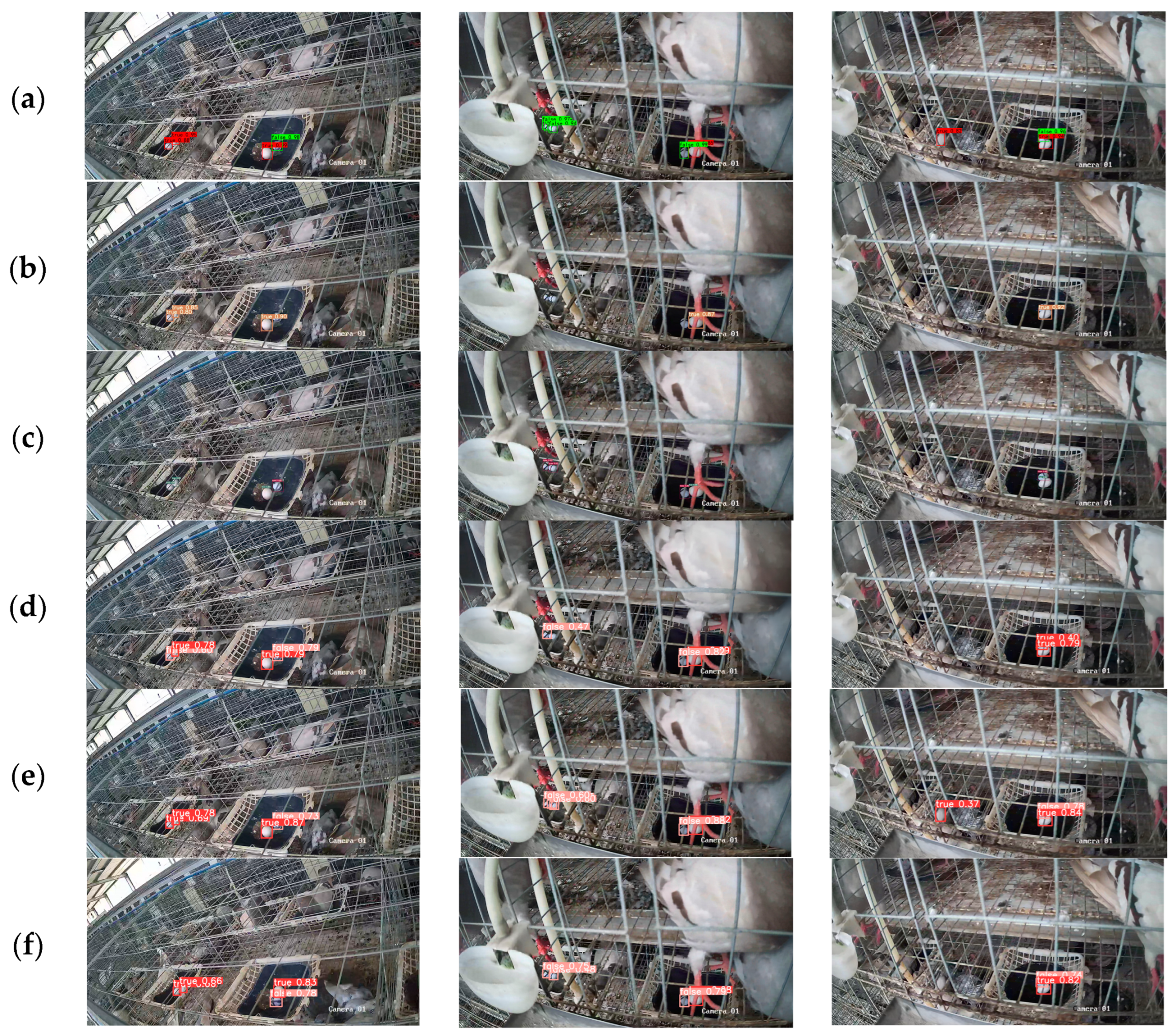 Animals 14 01226 g009