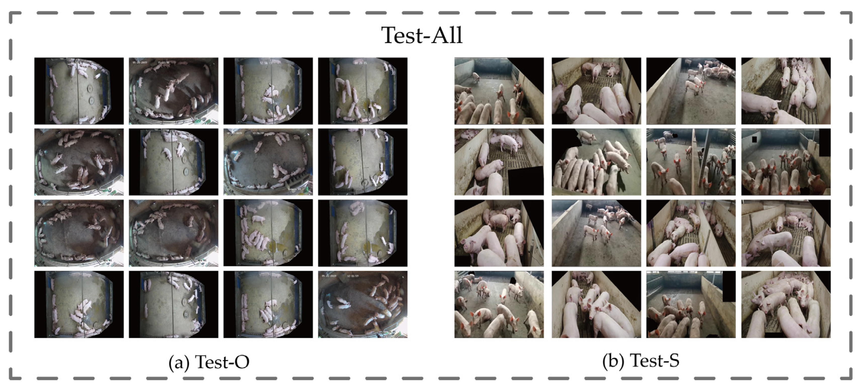 Animals 14 01227 g004