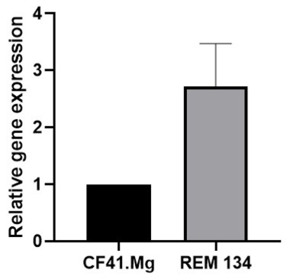 Animals 14 01229 g001 Animals 14 01229 g001