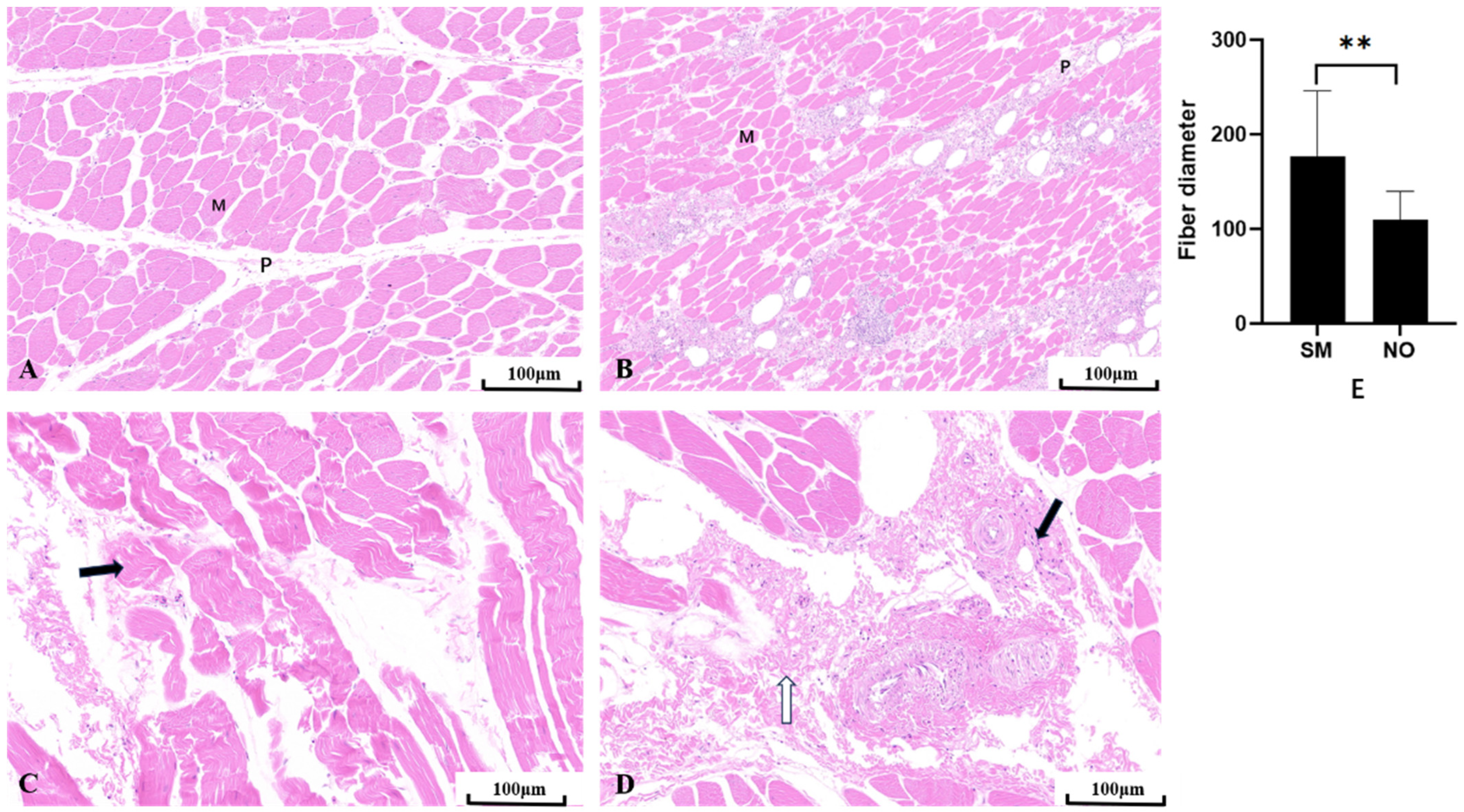 Animals 14 01236 g002