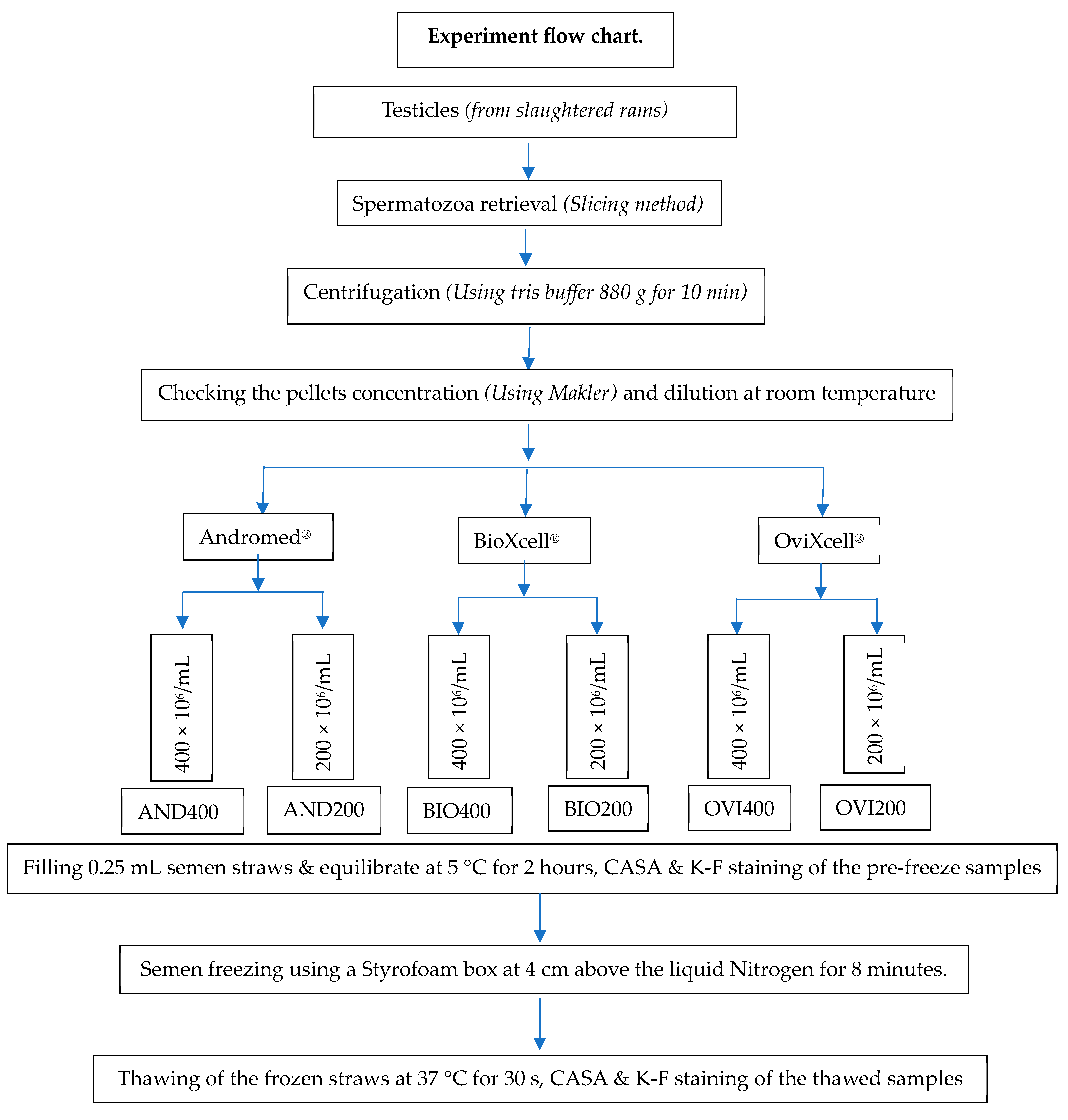 Animals 14 01237 g002
