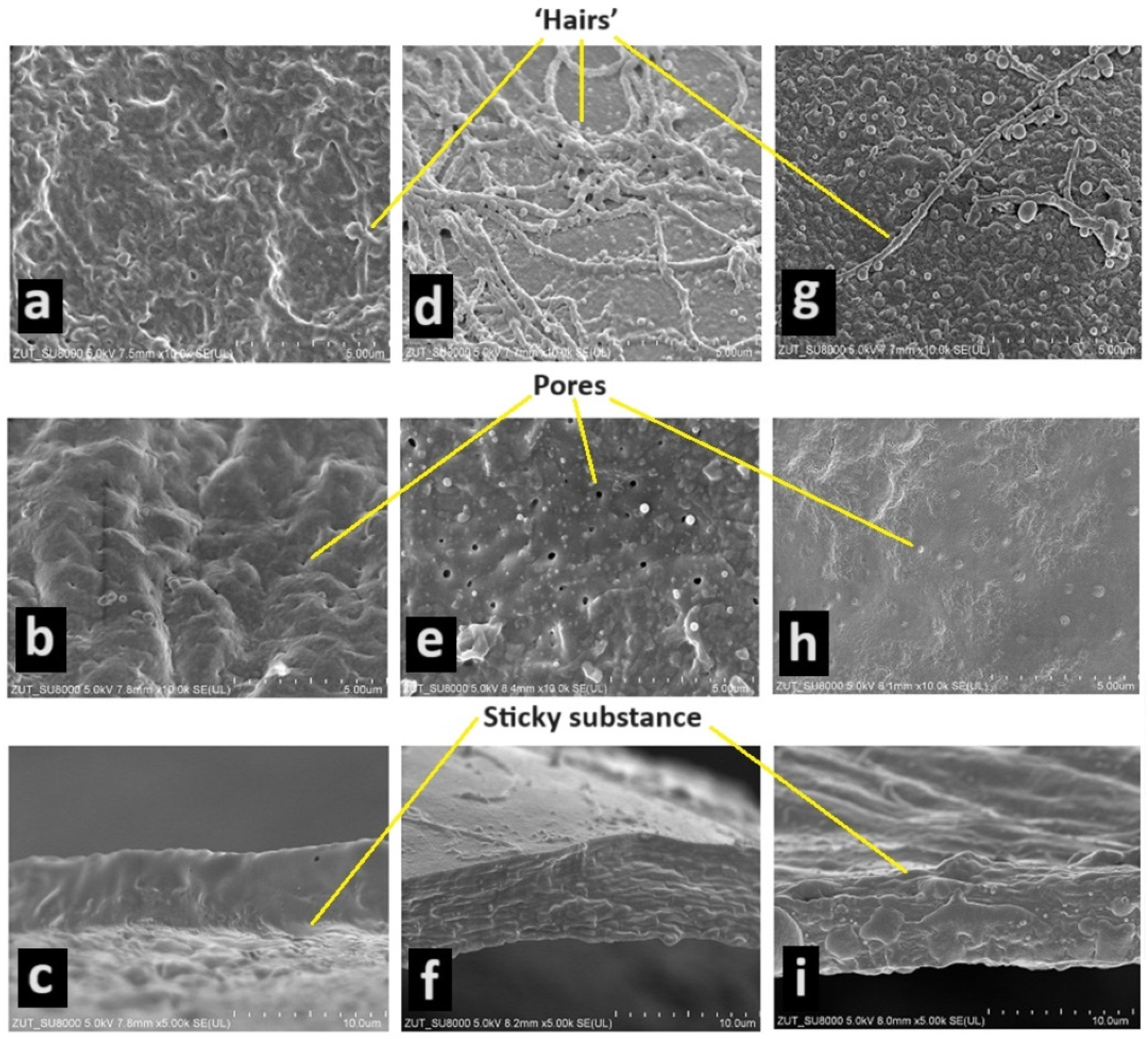 Animals 14 01238 g001 Animals 14 01238 g001