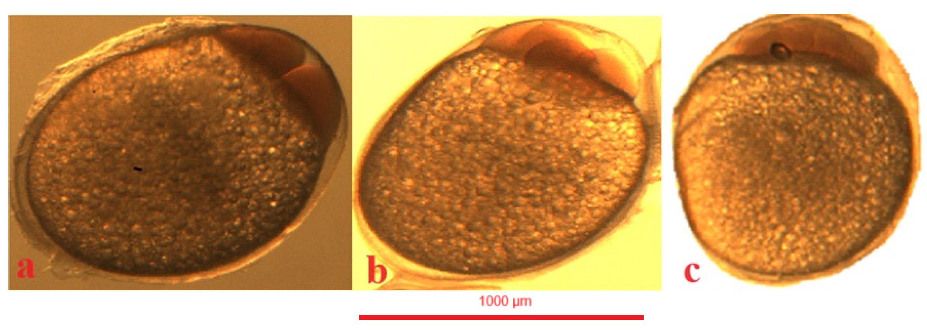 Animals 14 01238 g006 Animals 14 01238 g006