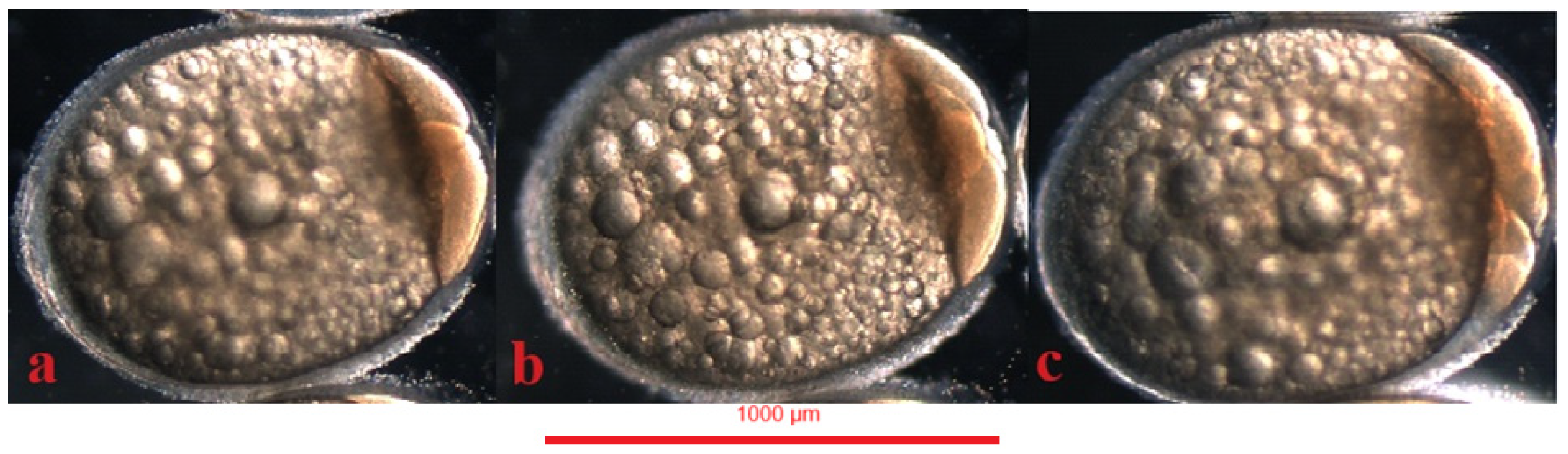 Animals 14 01238 g007 Animals 14 01238 g007