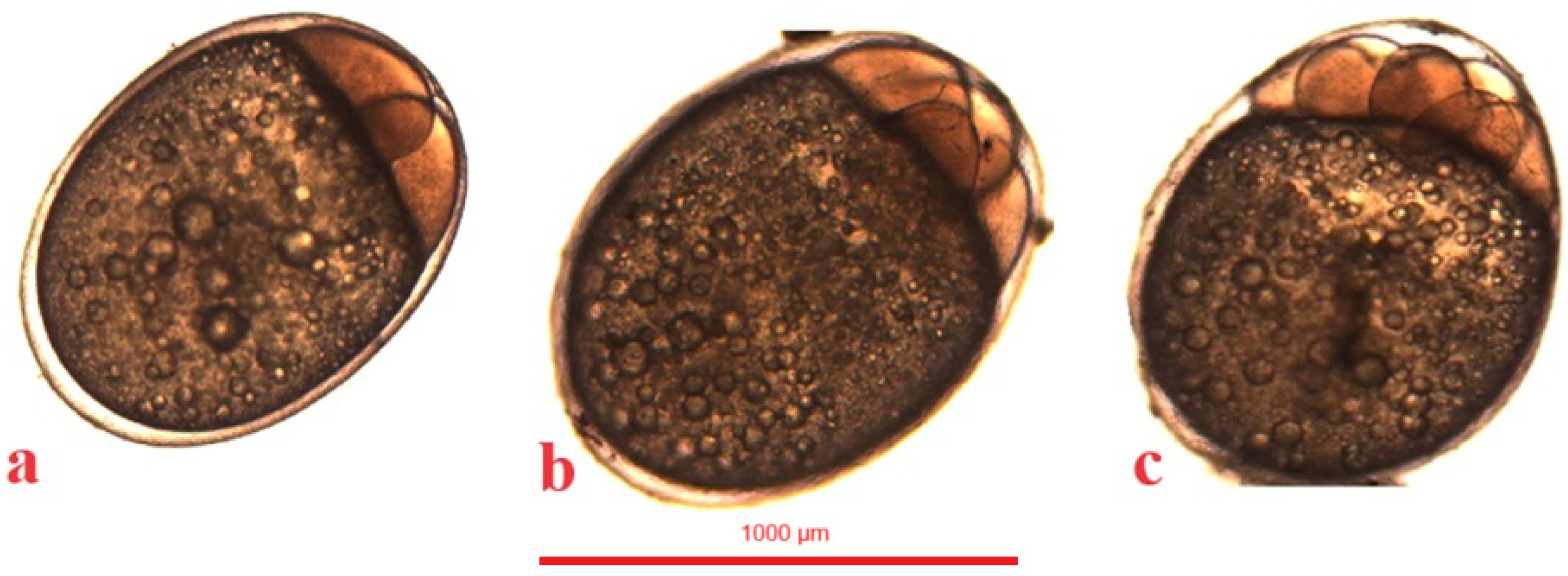 Animals 14 01238 g008 Animals 14 01238 g008