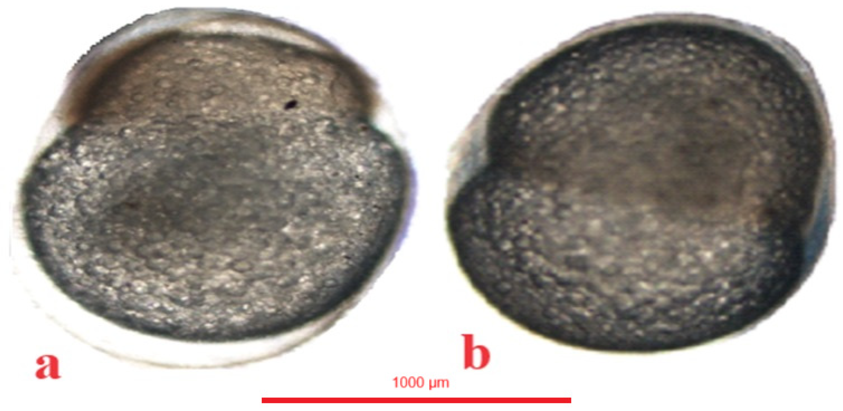 Animals 14 01238 g009 Animals 14 01238 g009