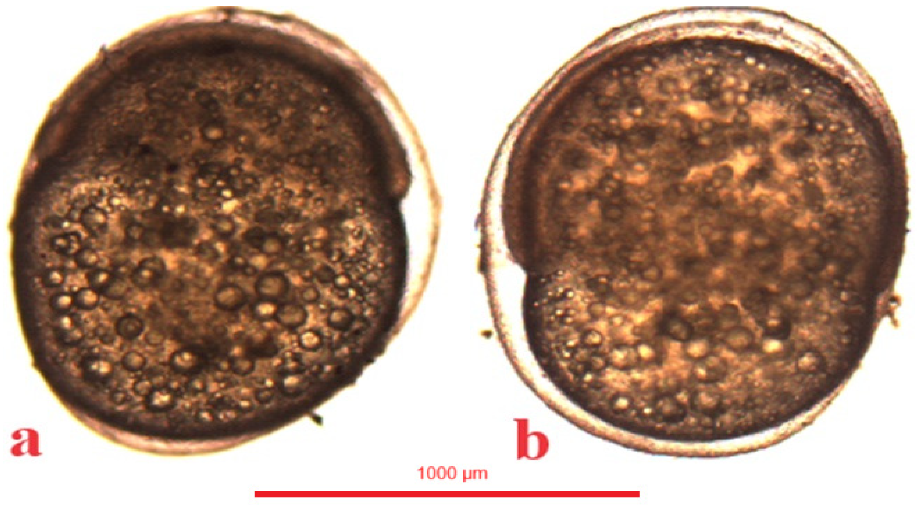 Animals 14 01238 g011 Animals 14 01238 g011