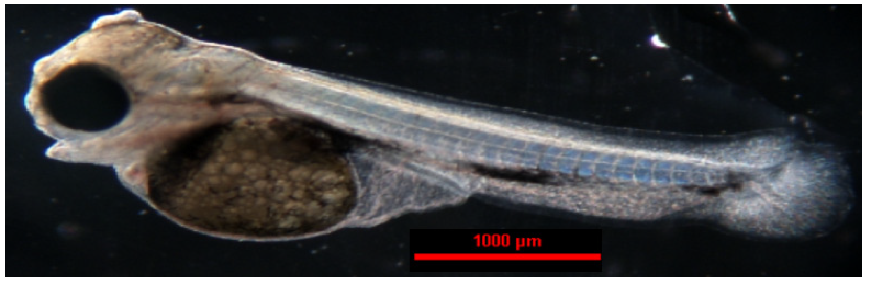 Animals 14 01238 g014 Animals 14 01238 g014