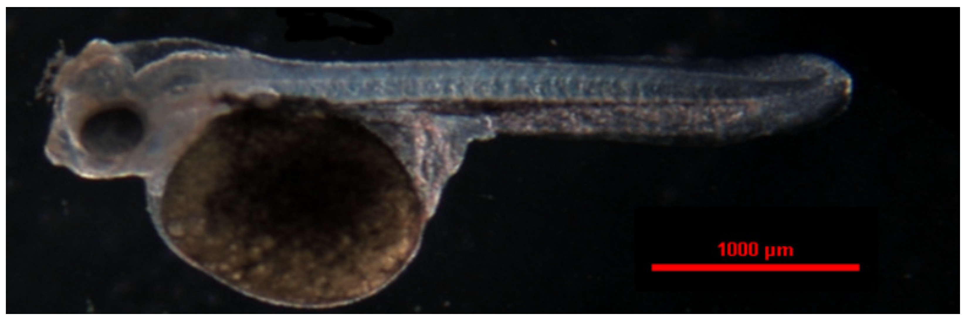 Animals 14 01238 g015 Animals 14 01238 g015