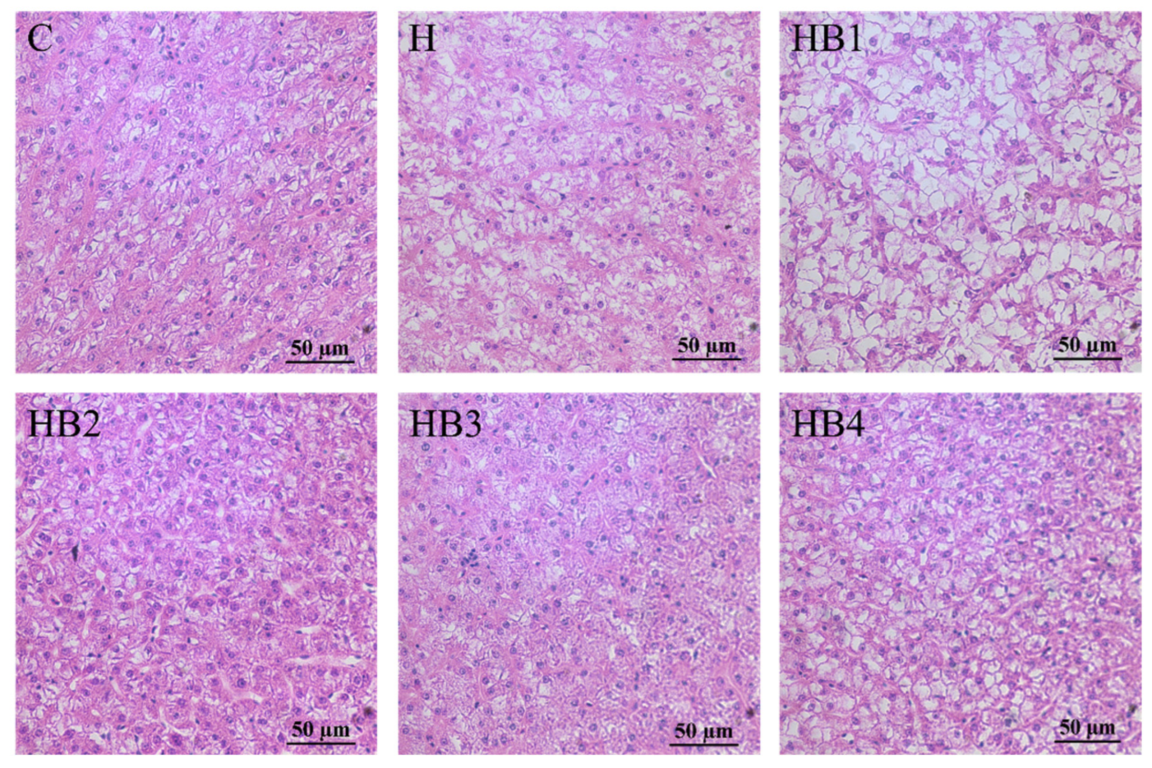 Animals 14 01239 g010