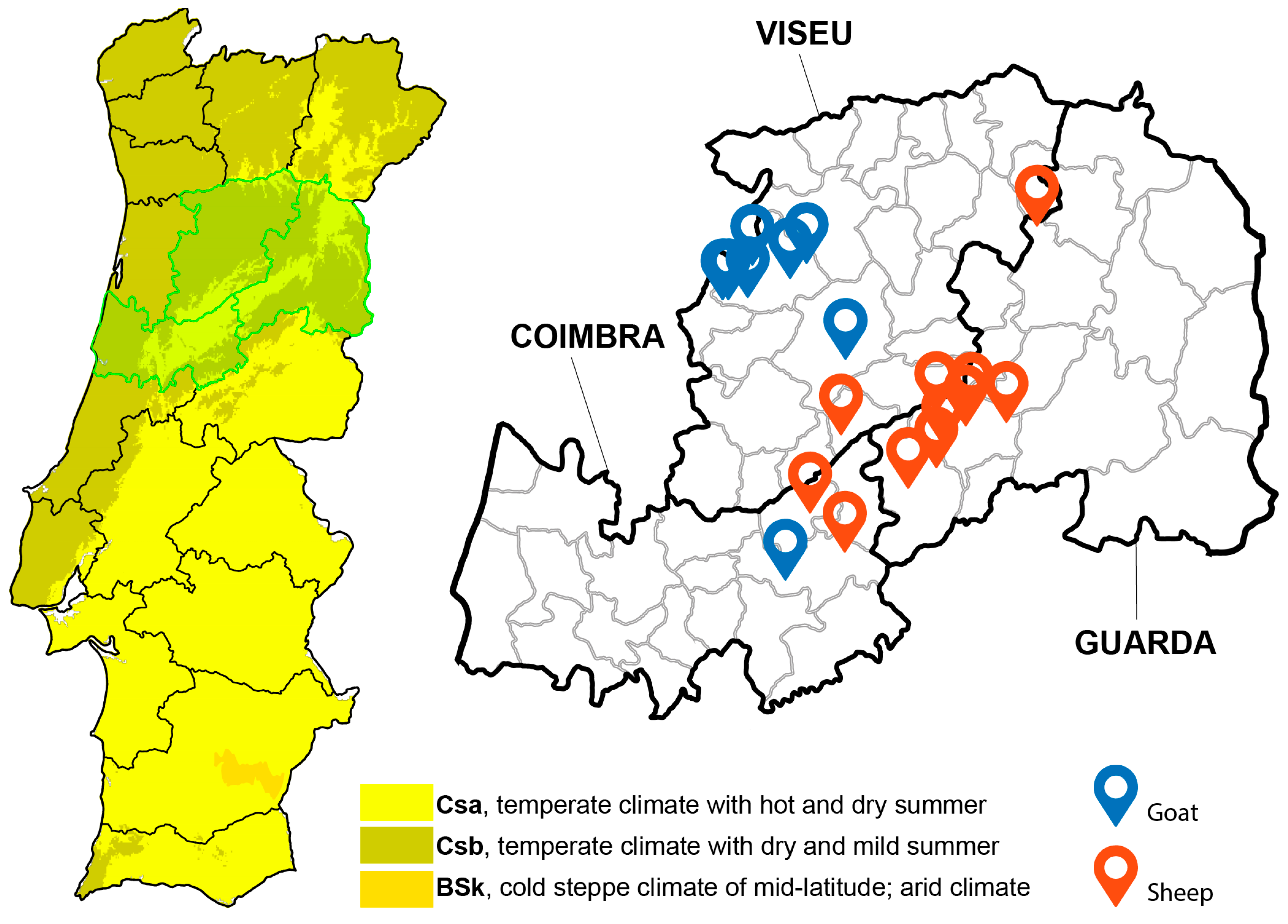 Animals 14 01241 g001