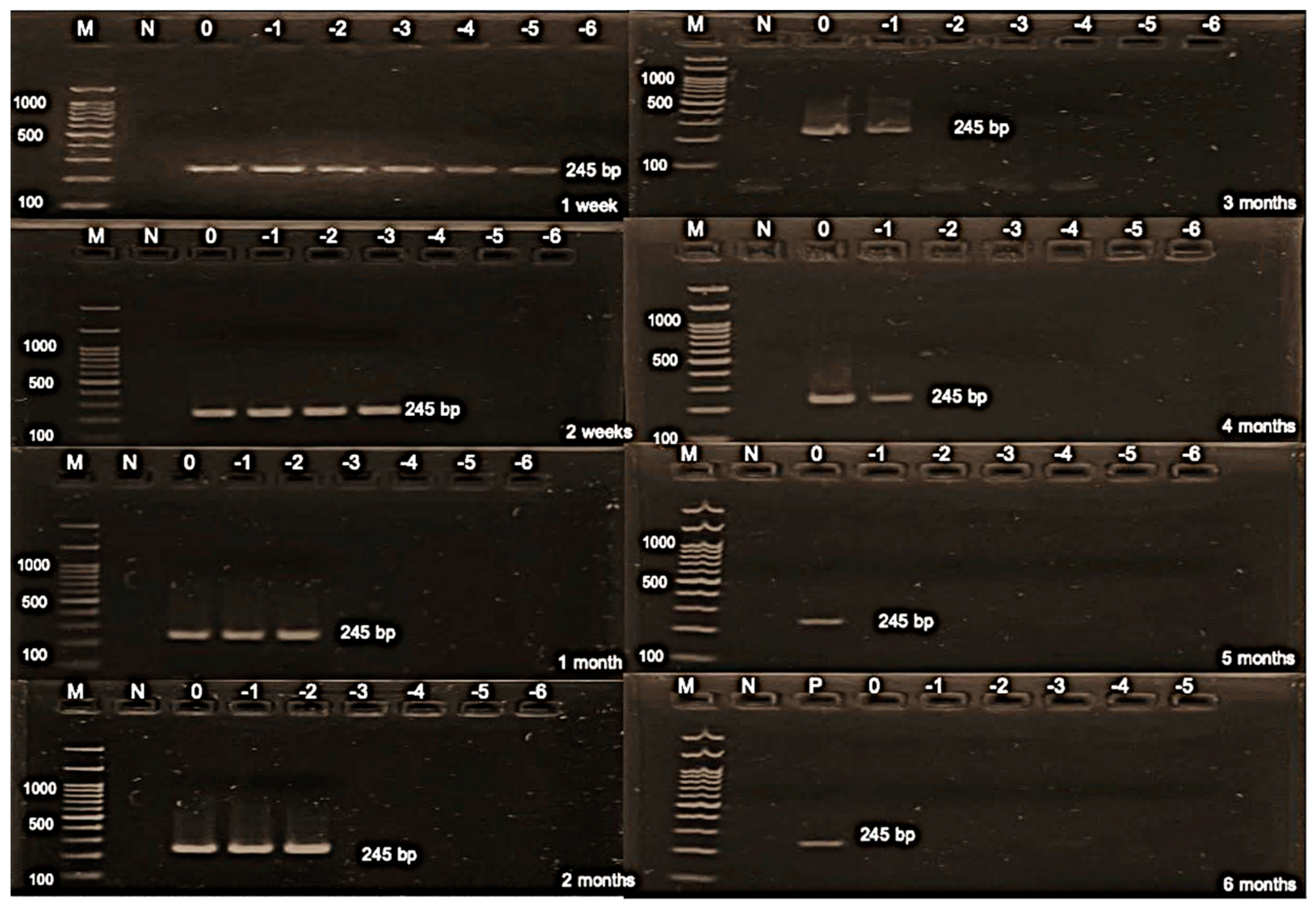 Animals 14 01242 g002 Animals 14 01242 g002