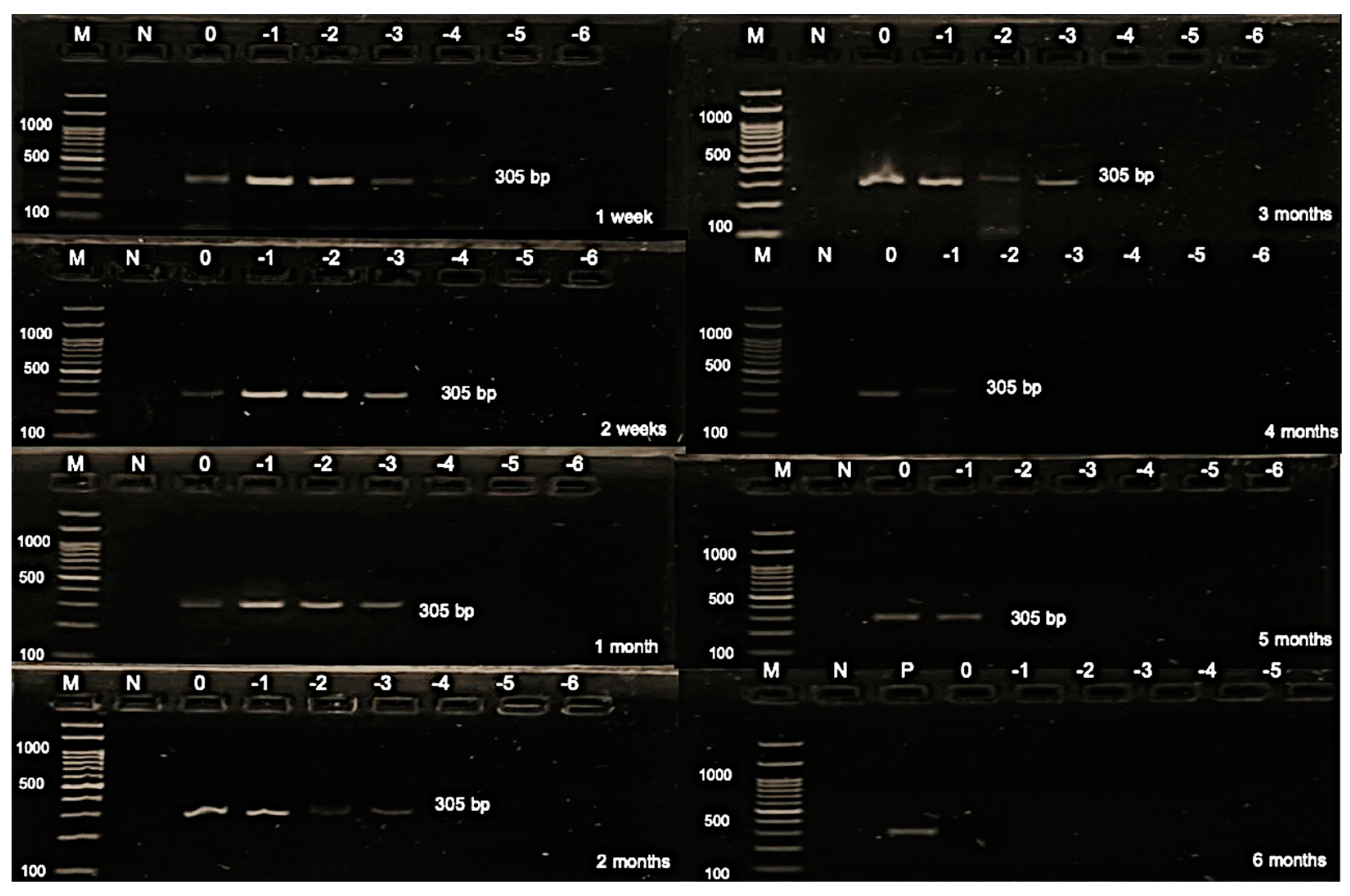 Animals 14 01242 g003 Animals 14 01242 g003