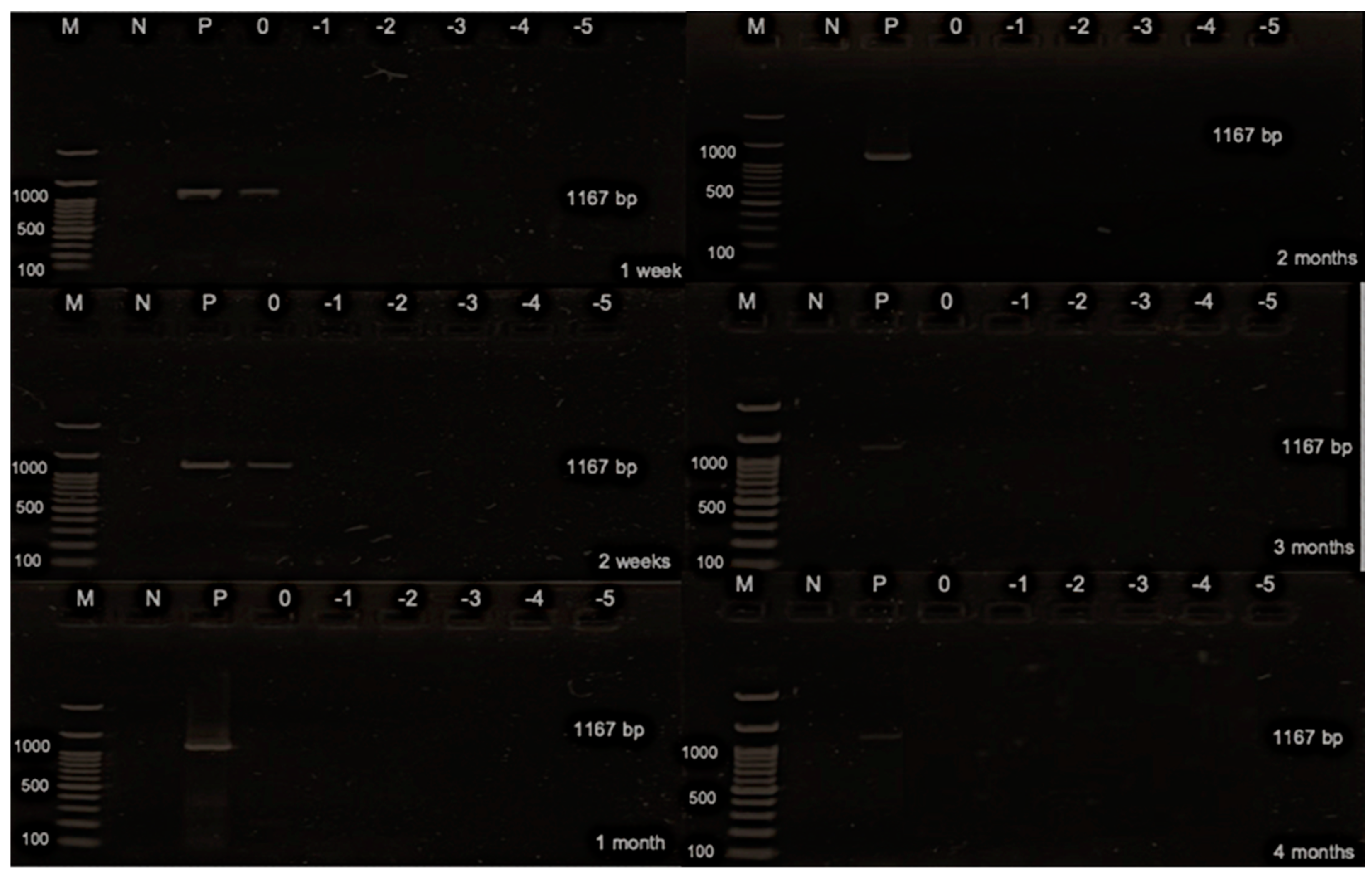 Animals 14 01242 g004 Animals 14 01242 g004