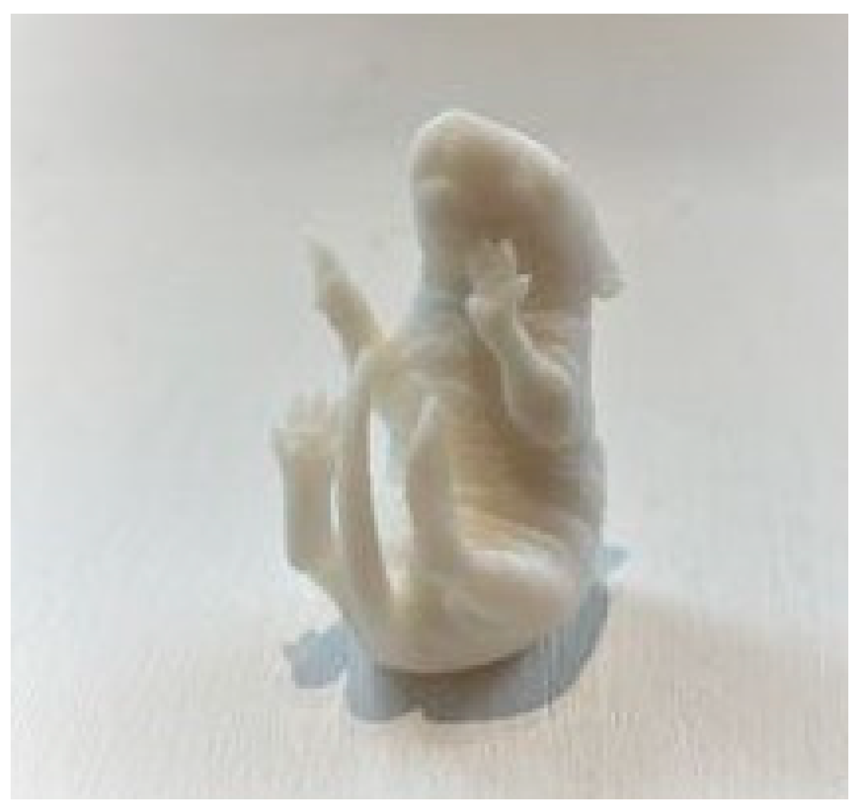 Animals 14 01253 g001 Animals 14 01253 g001