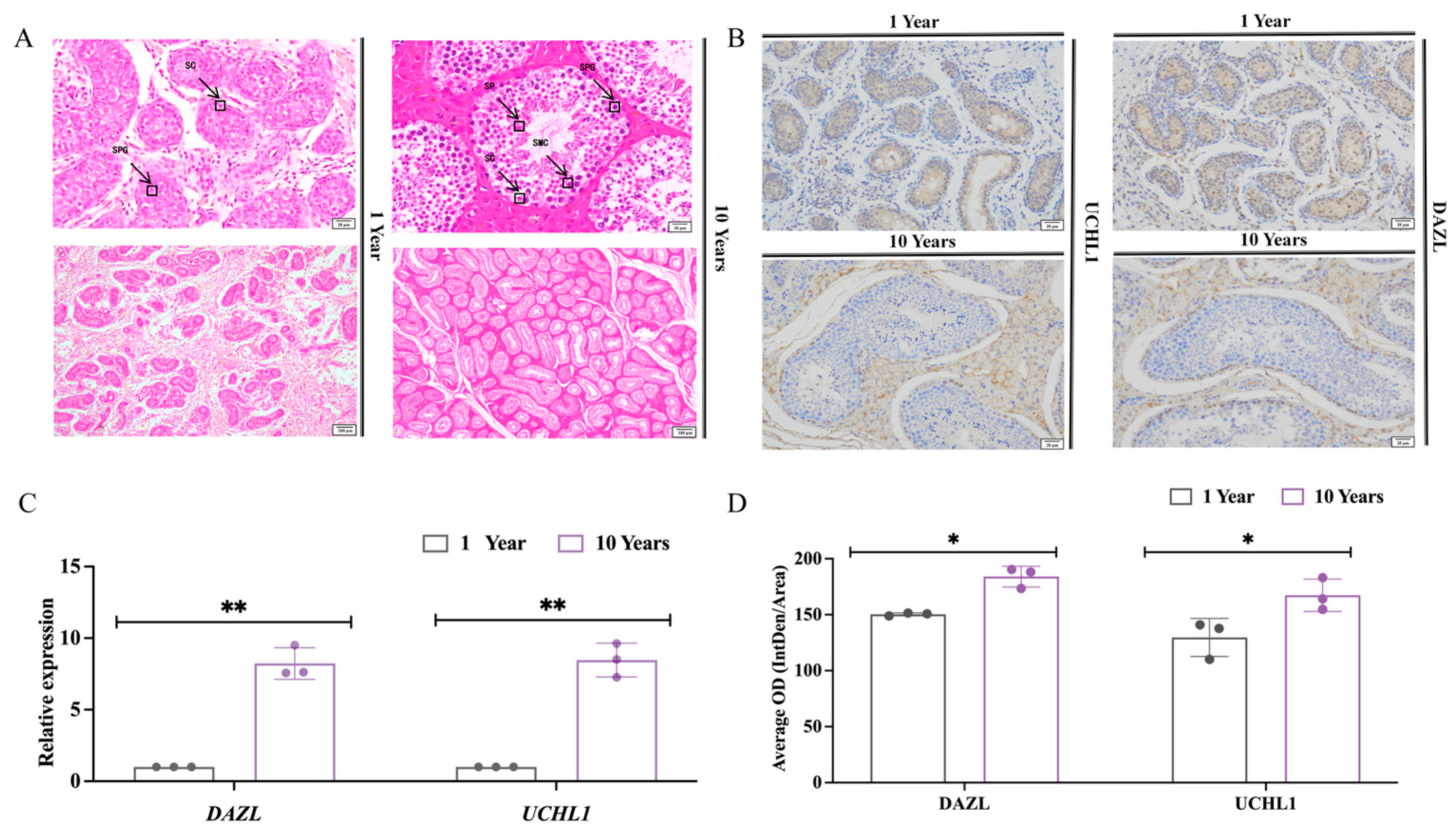 Animals 14 01258 g001