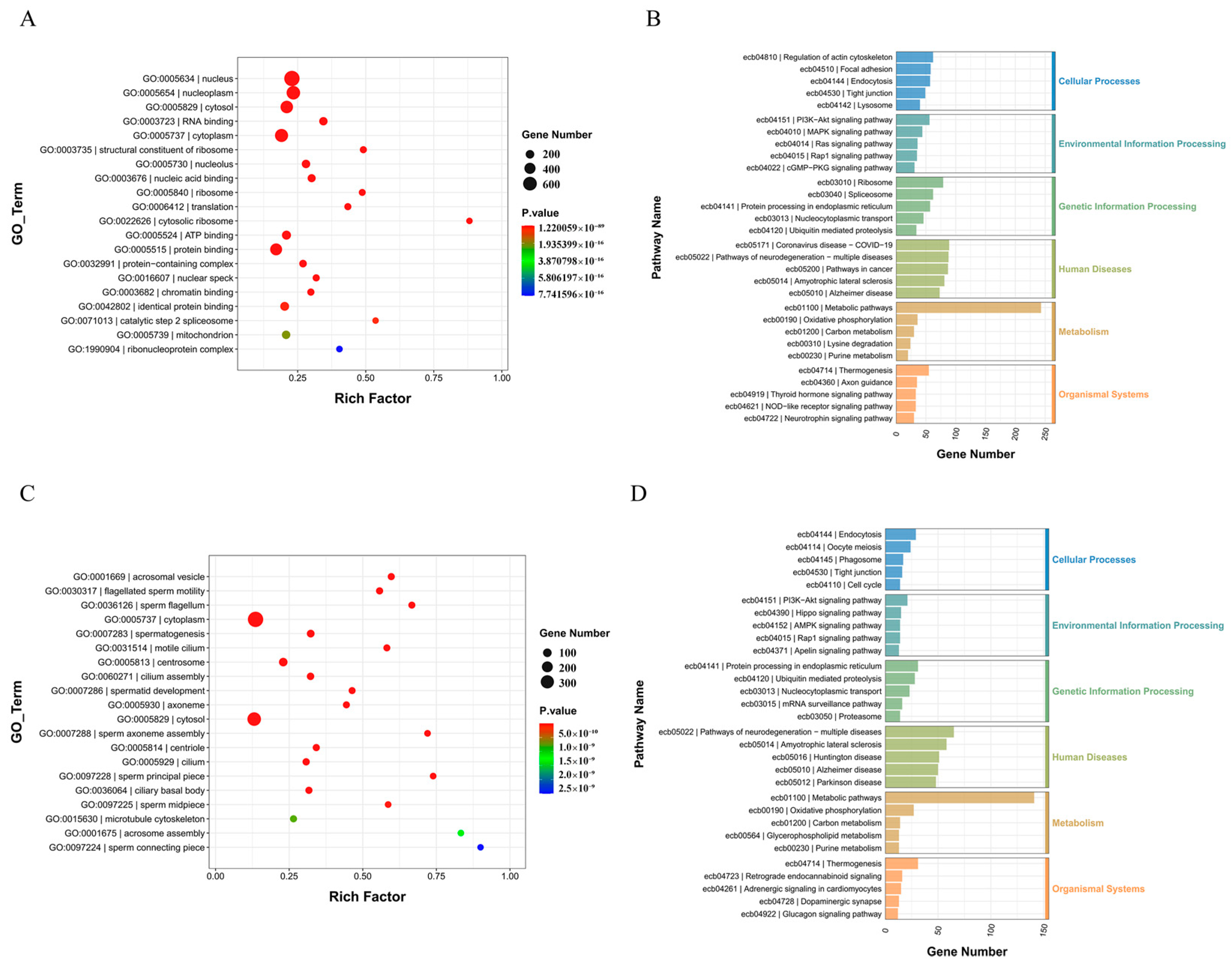Animals 14 01258 g005