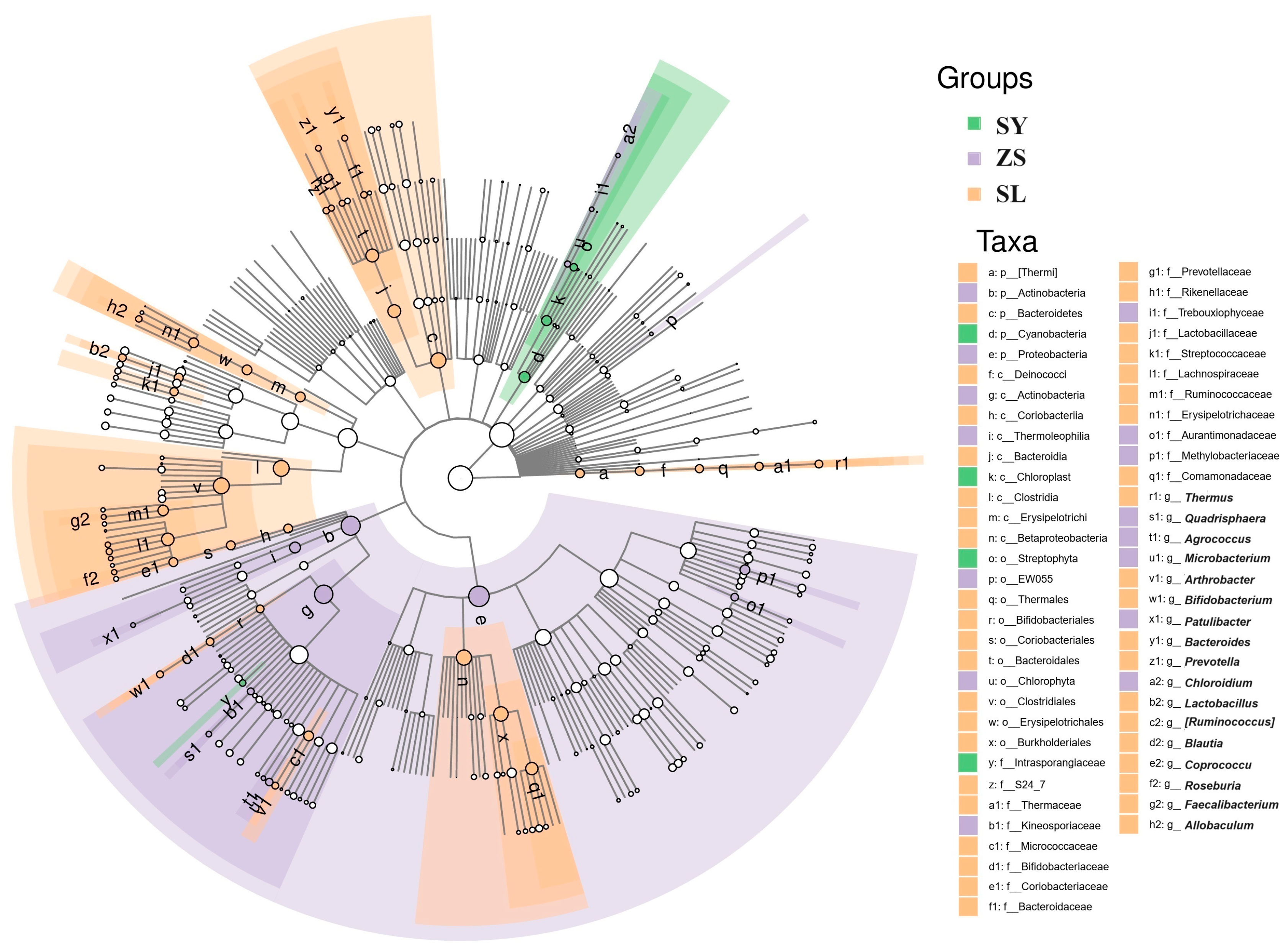 Animals 14 01261 g005